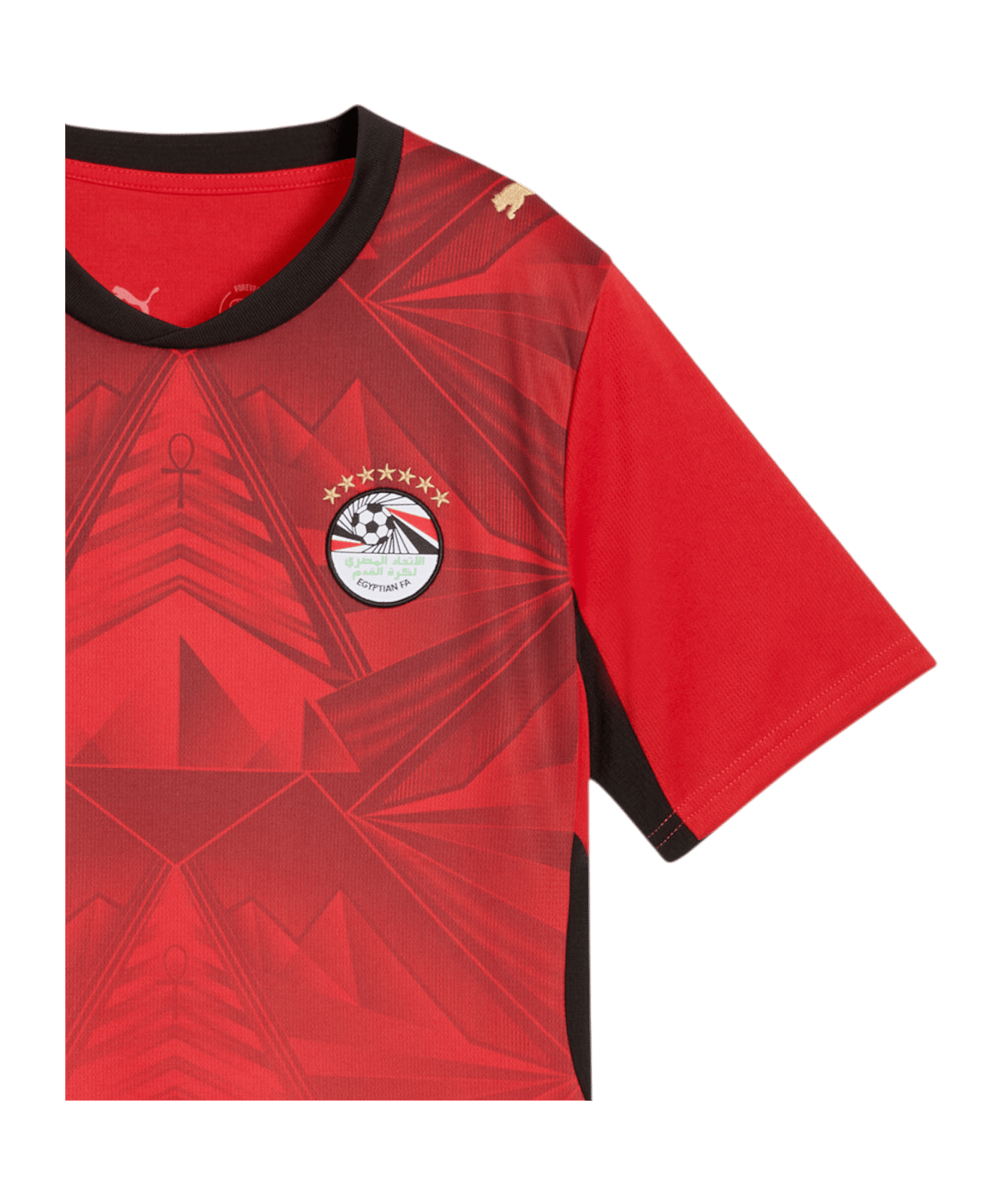 PUMA EFA Ägypten Trikot Home WM 2026 Kids Rot F01 - rot