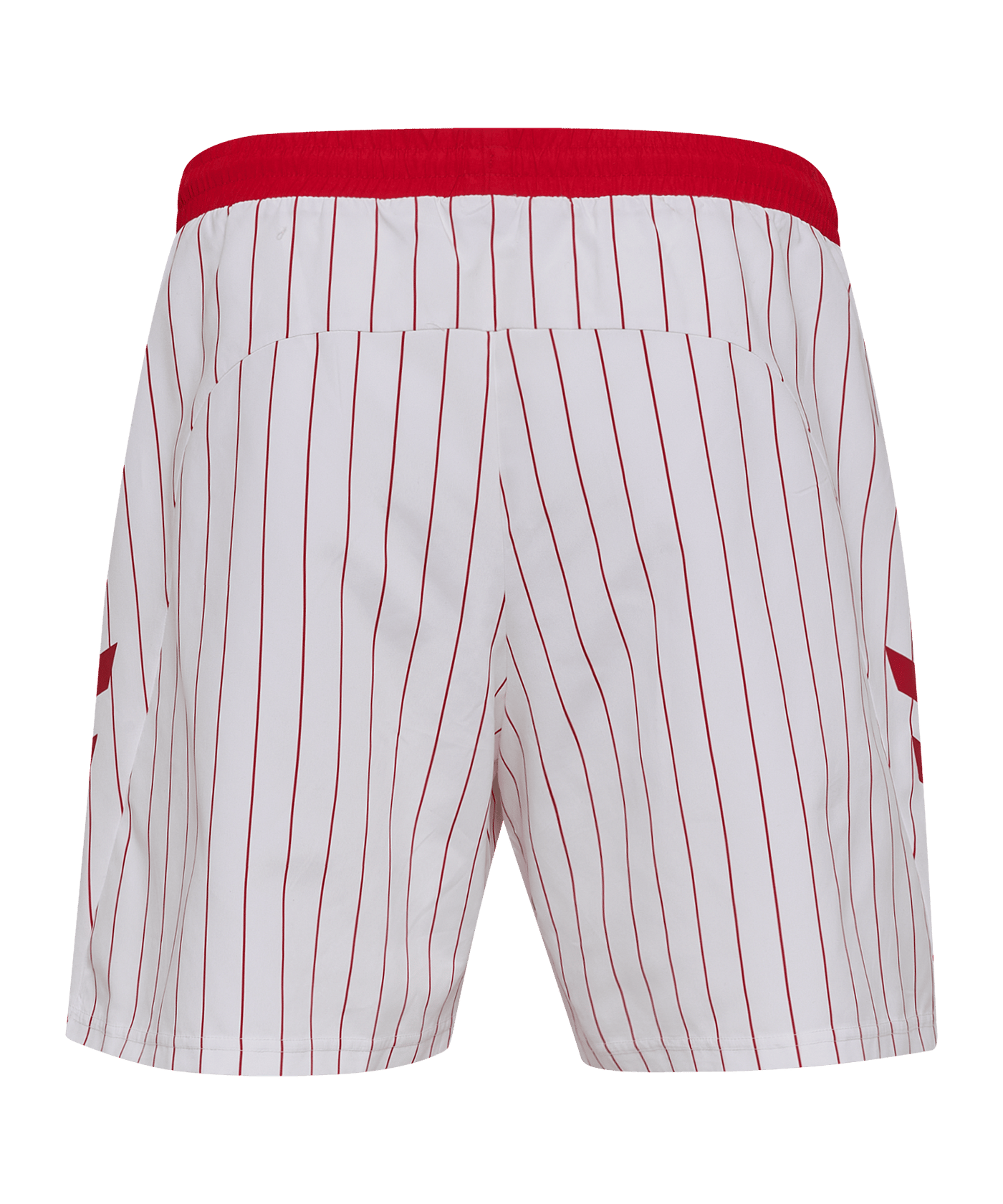 hummel DBU Fan Badehose 2026 Weiß F9001 - weiss