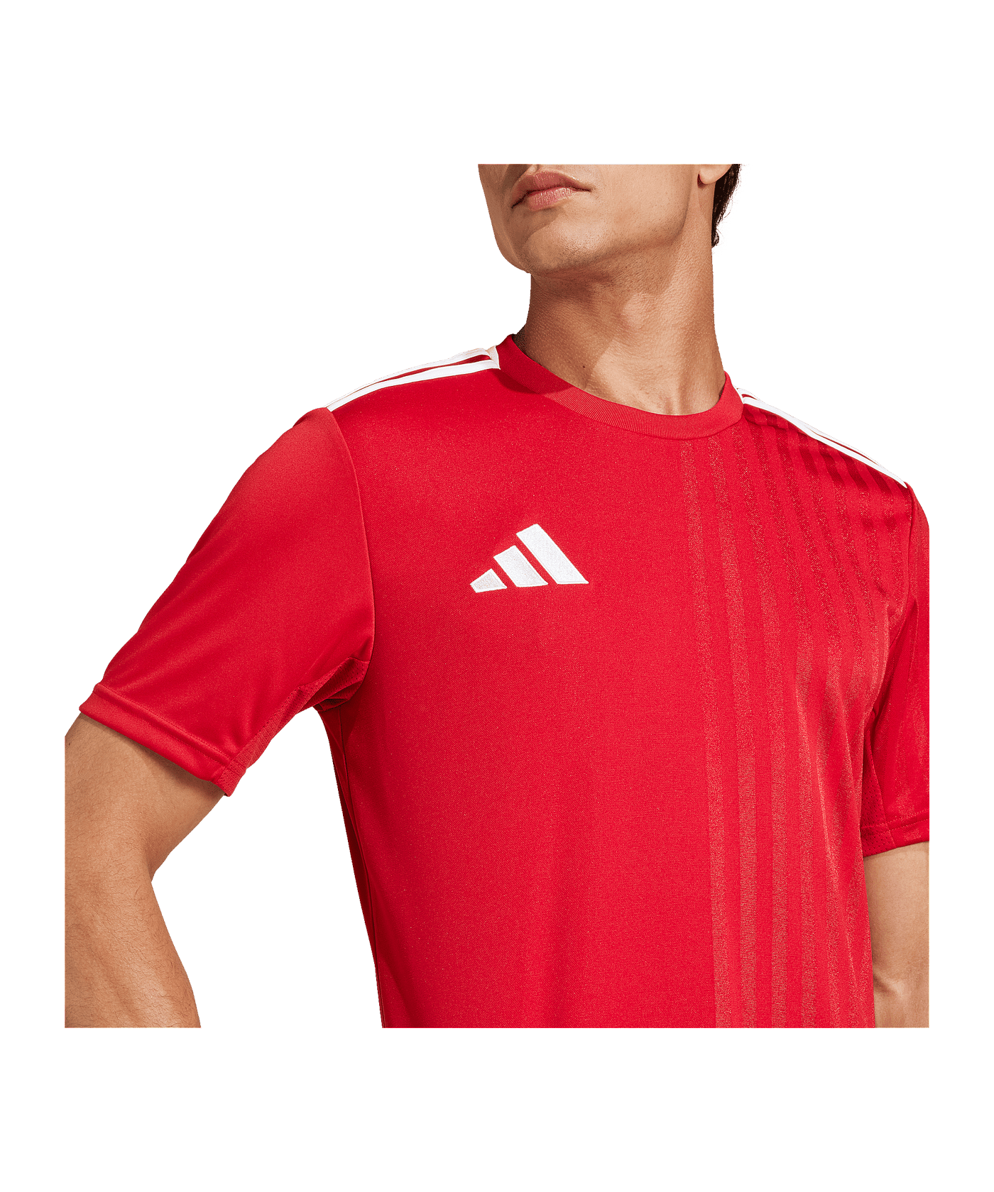 adidas Campeon 25 Trikot Rot - rot