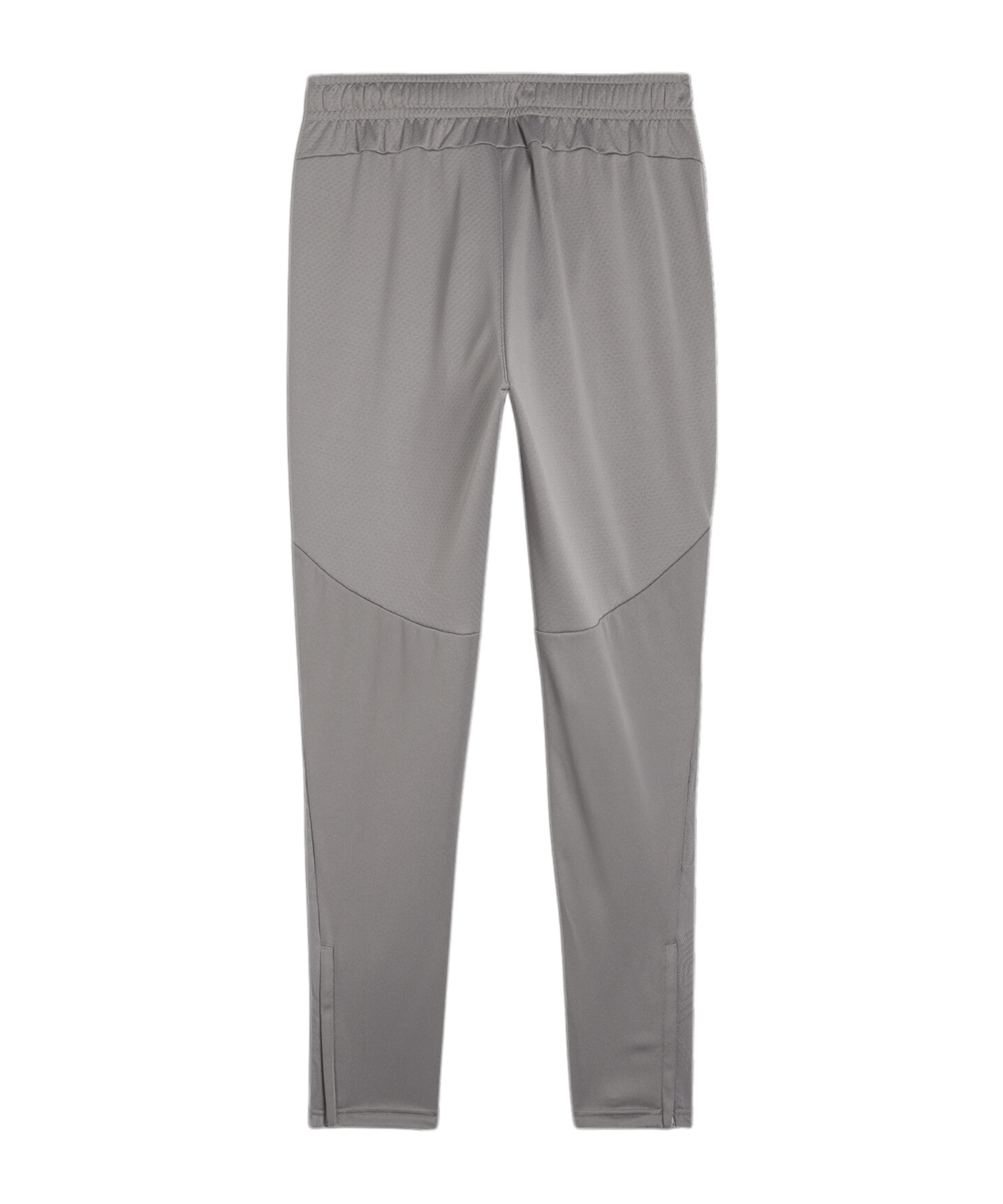 PUMA teamFINAL Trainingshose Grau F13 - grau