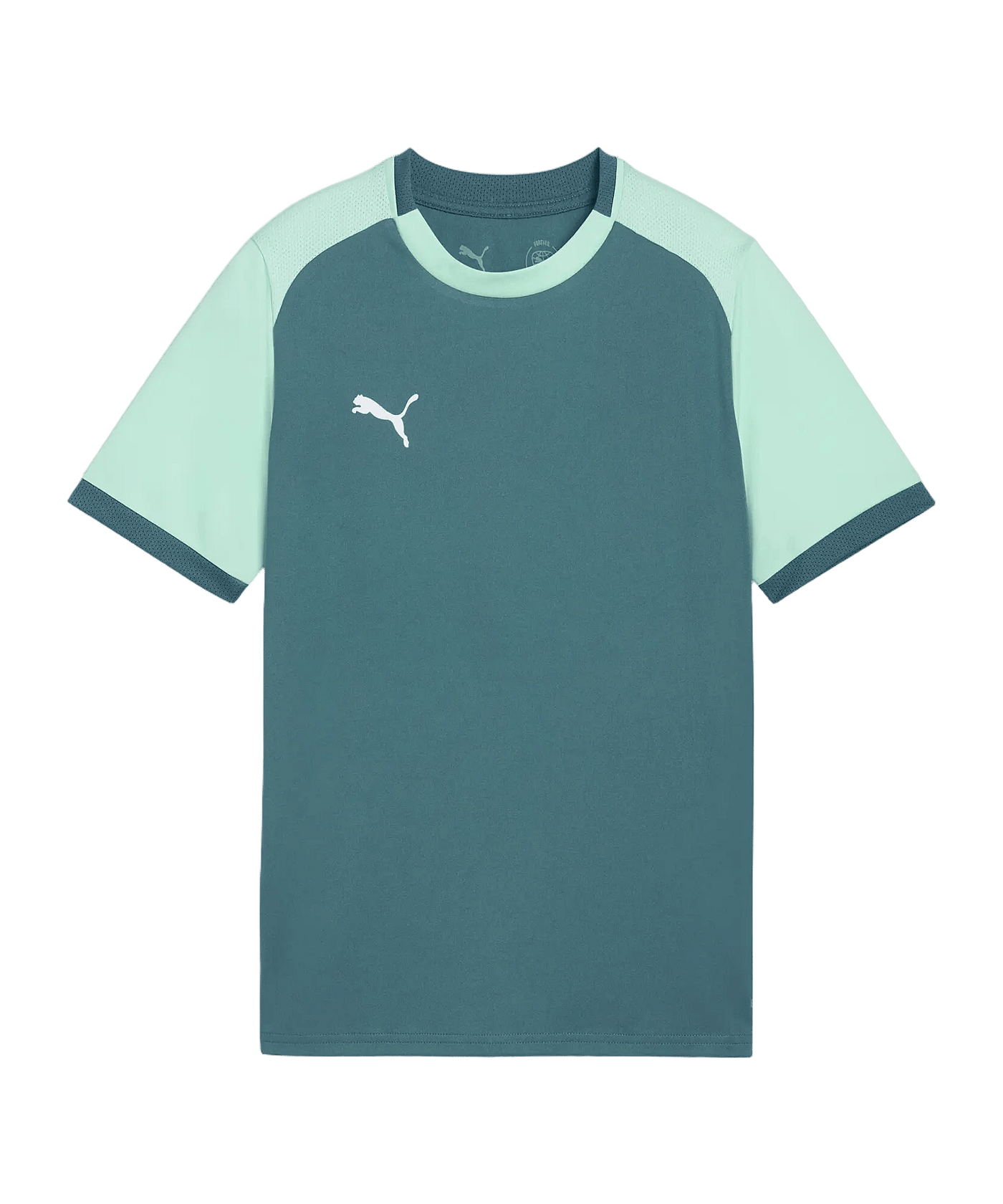 PUMA teamLIGA26 Matchday Trikot Kinder Grün F43 - gruen