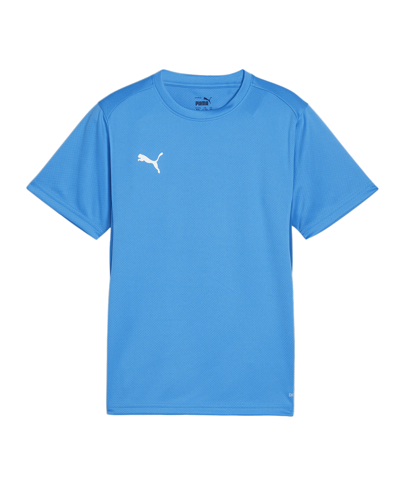PUMA teamGOAL Trikot Kids Blau F02 - hellblau