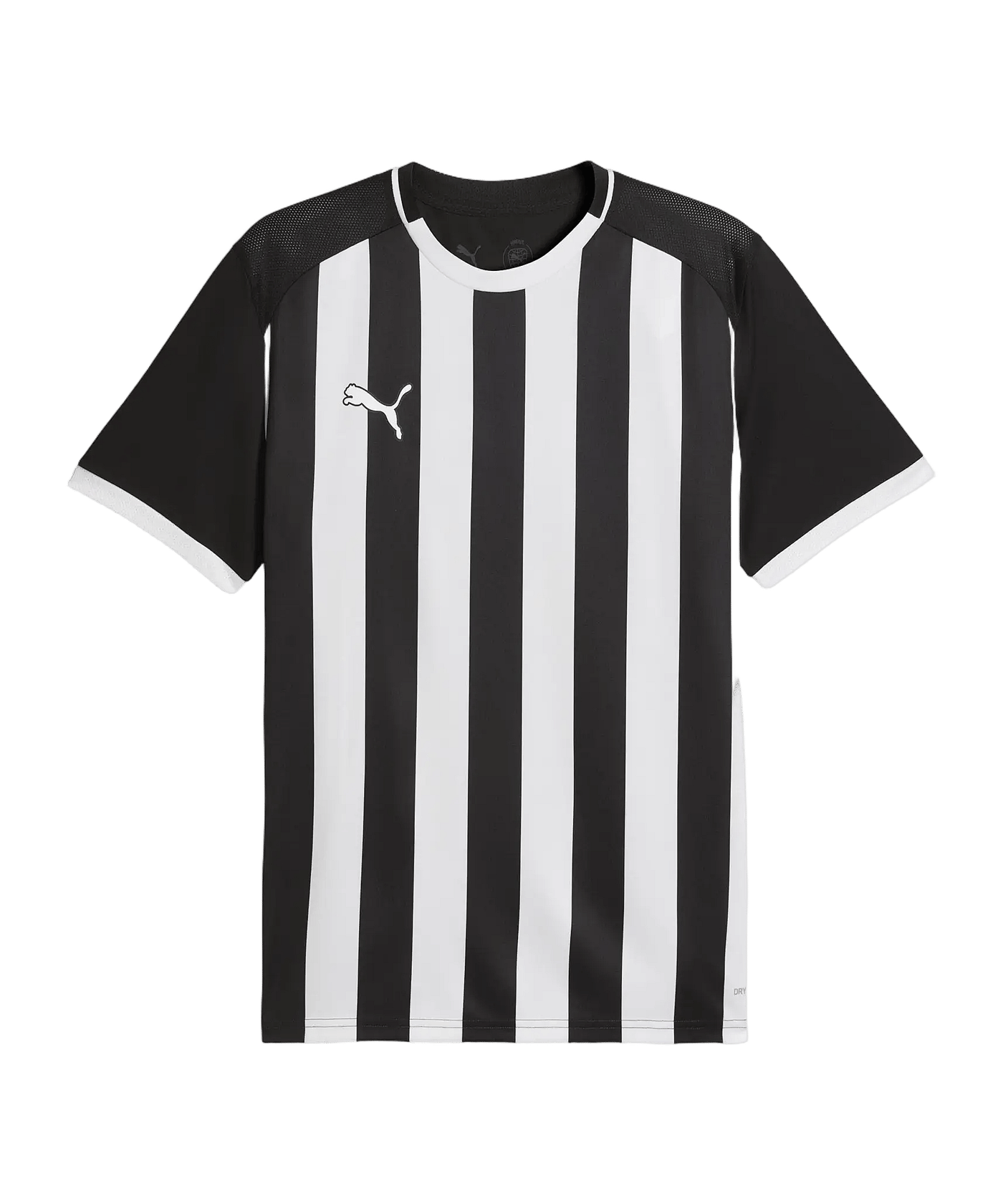 PUMA teamLIGA26 Striped Trikot Schwarz F03 - schwarz