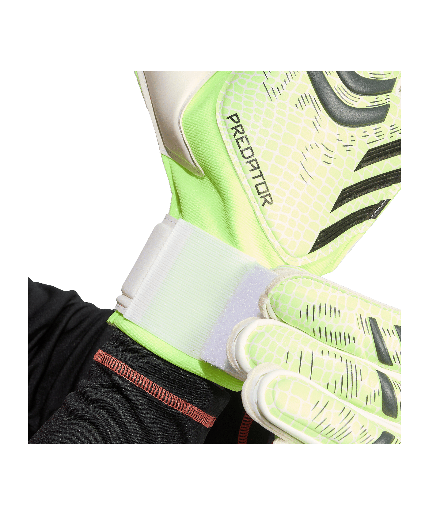 adidas Predator Match Torwarthandschuhe Grün - gruen