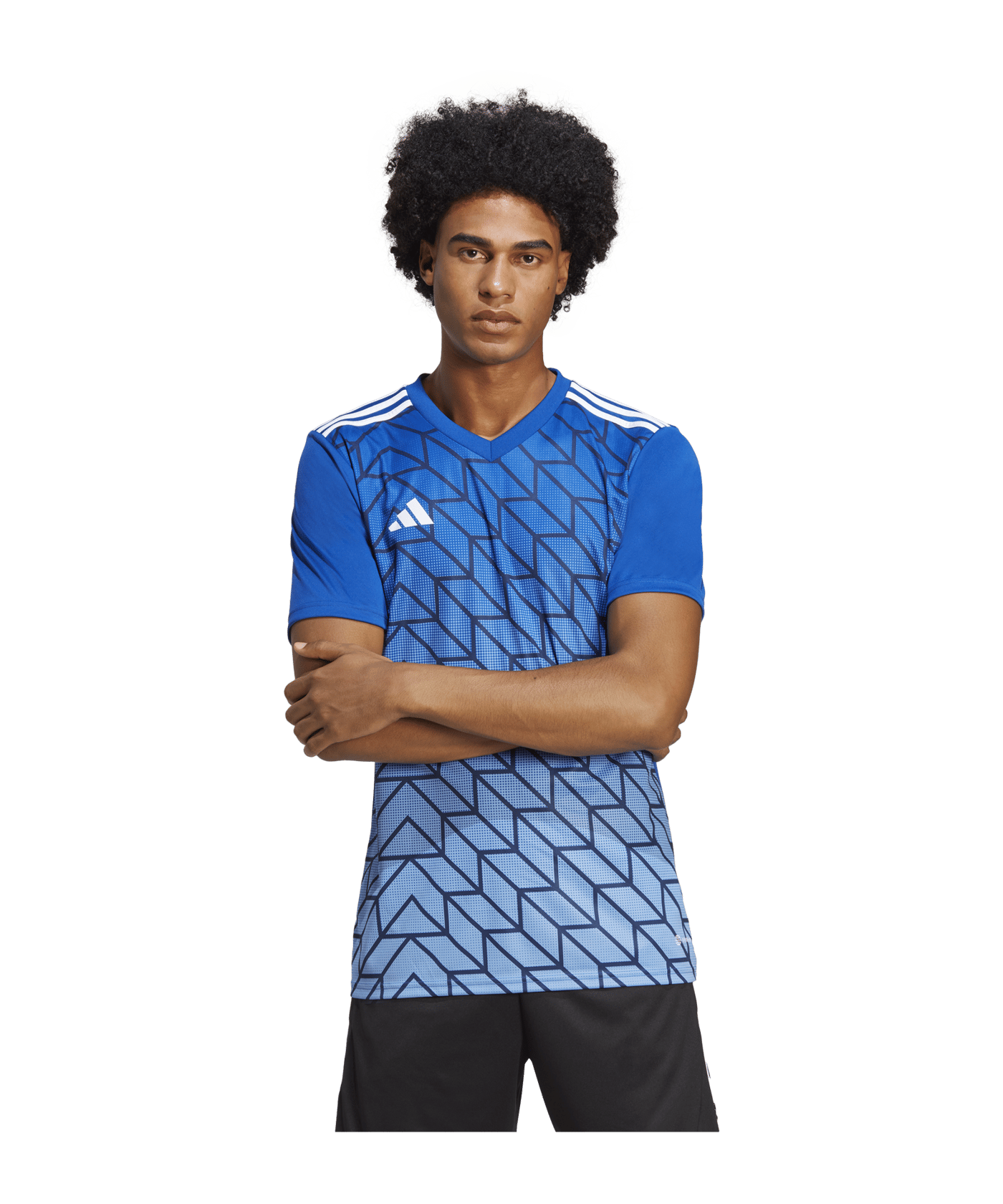 adidas Team Icon 23 Trikot Blau - blau