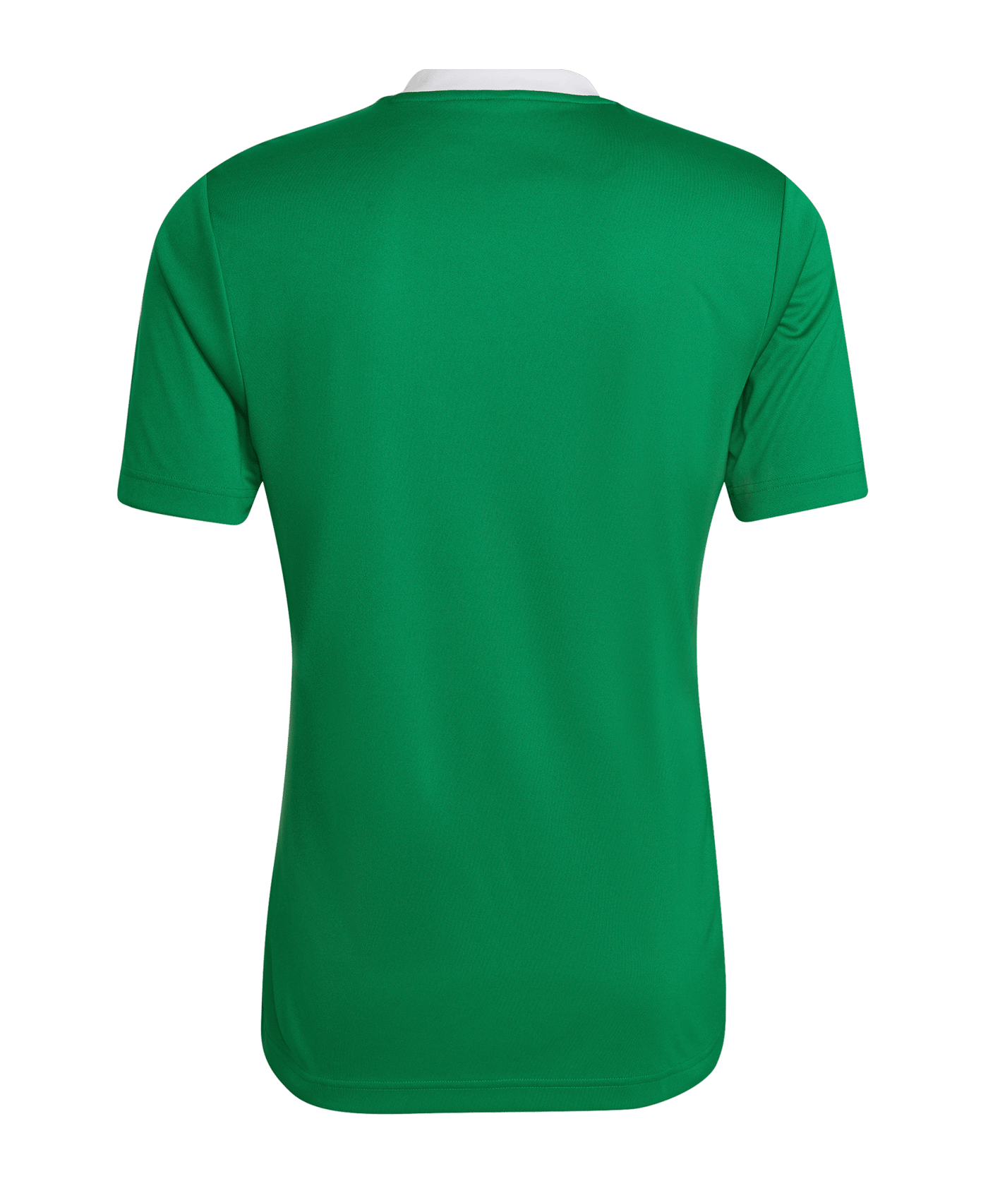 adidas Entrada 22 Trikot Grün - gruen