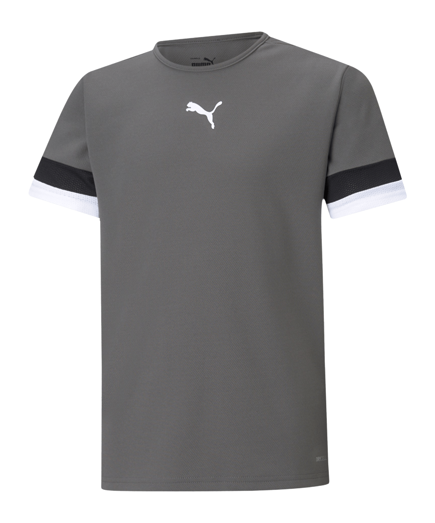 PUMA teamRISE Trikot Kids Grau F13 - grau