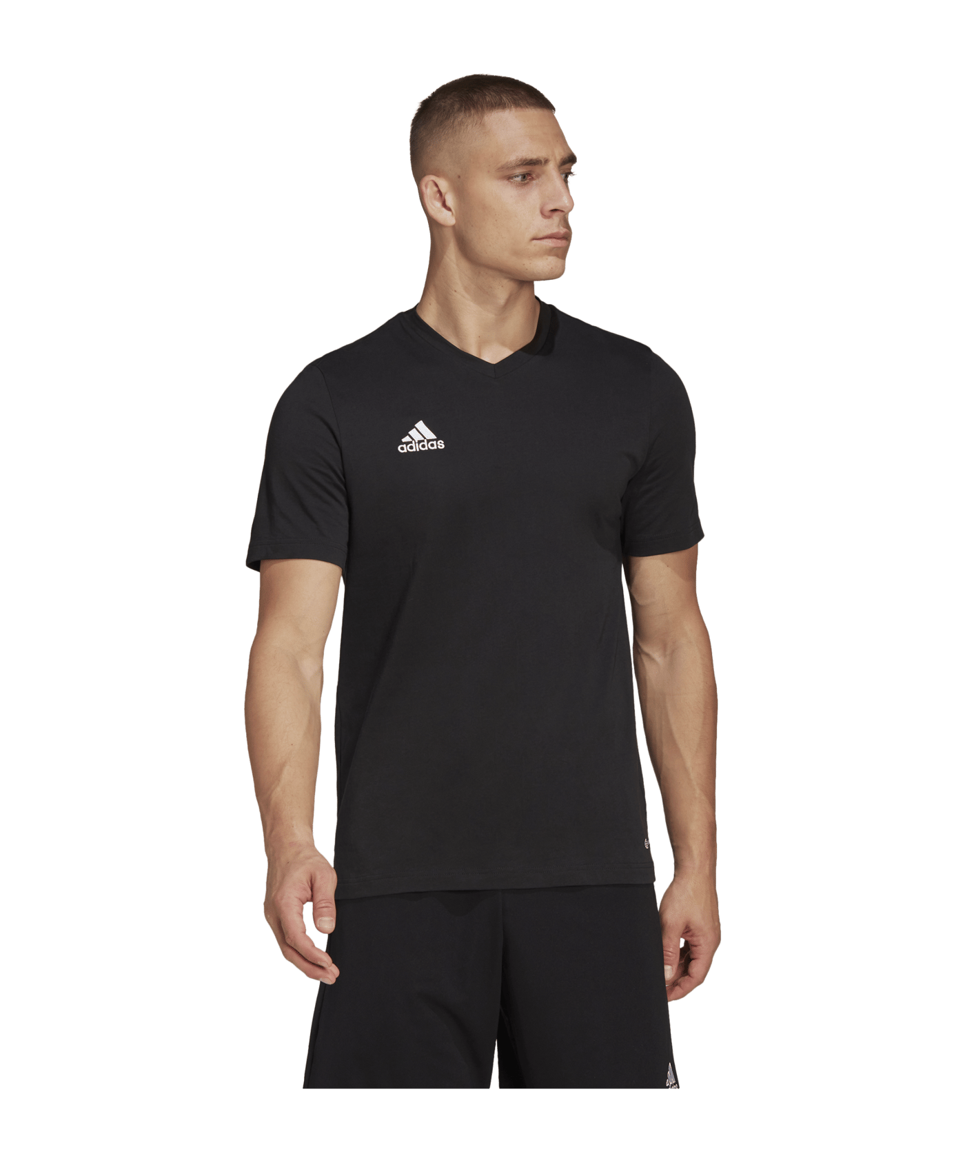 adidas Entrada 22 T-Shirt Schwarz - schwarz
