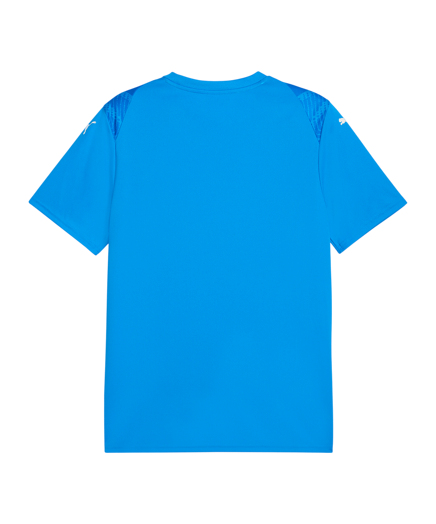 PUMA teamULTIMATE Trikot Blau F02 - blau