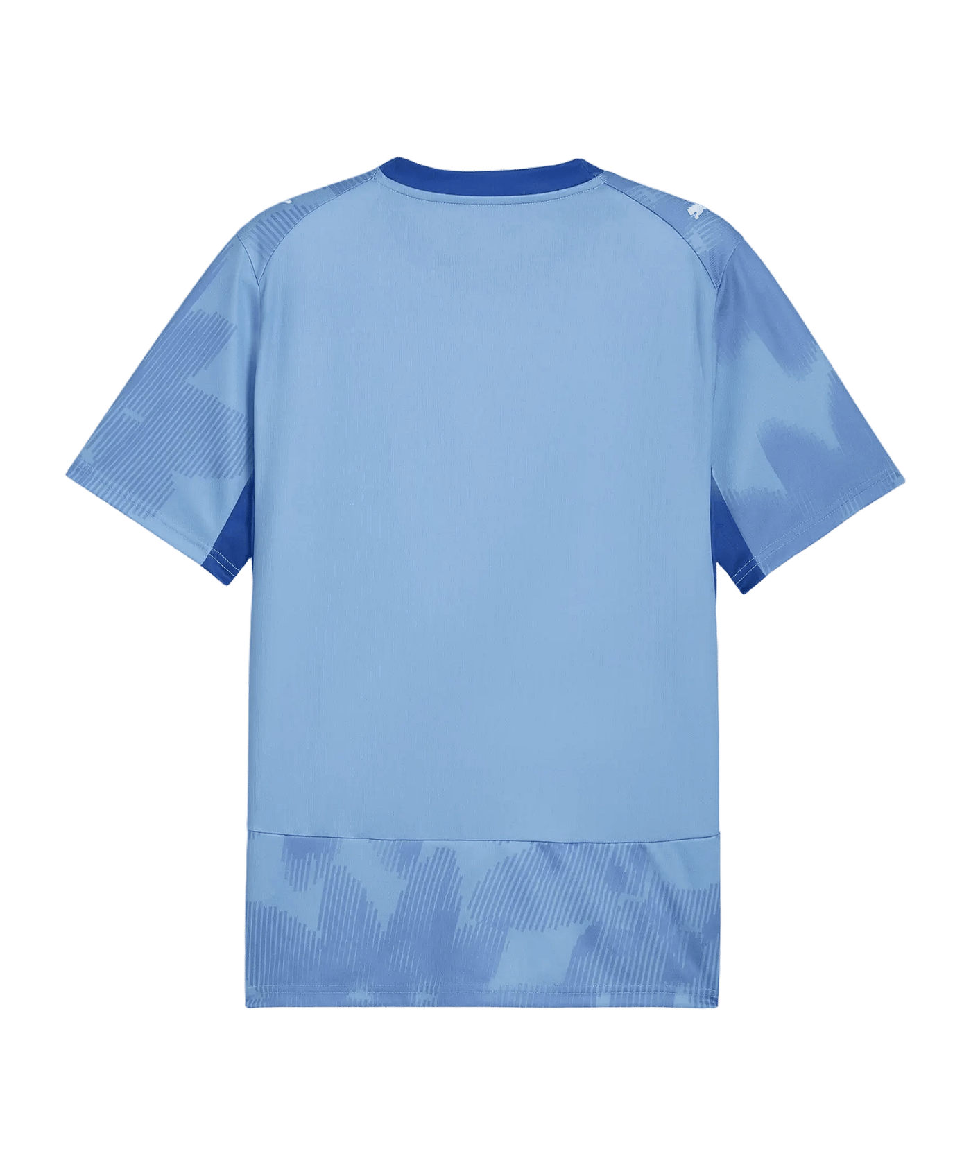 PUMA ÖFB Österreich X Salehe Bembury Torwarttrikot Blau F83 - blau
