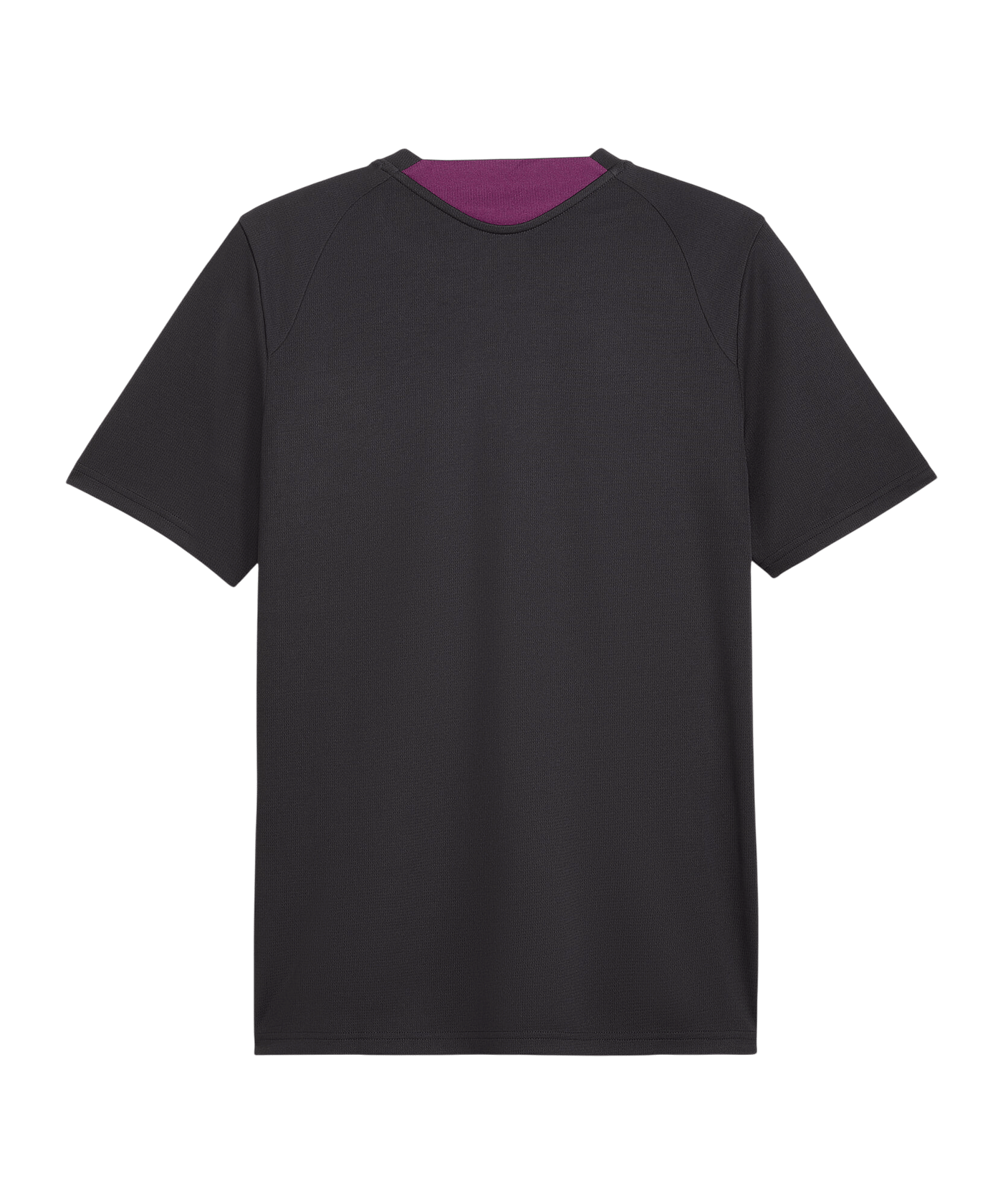 PUMA Galatasaray Istanbul Training Trikot Grau F05 - grau