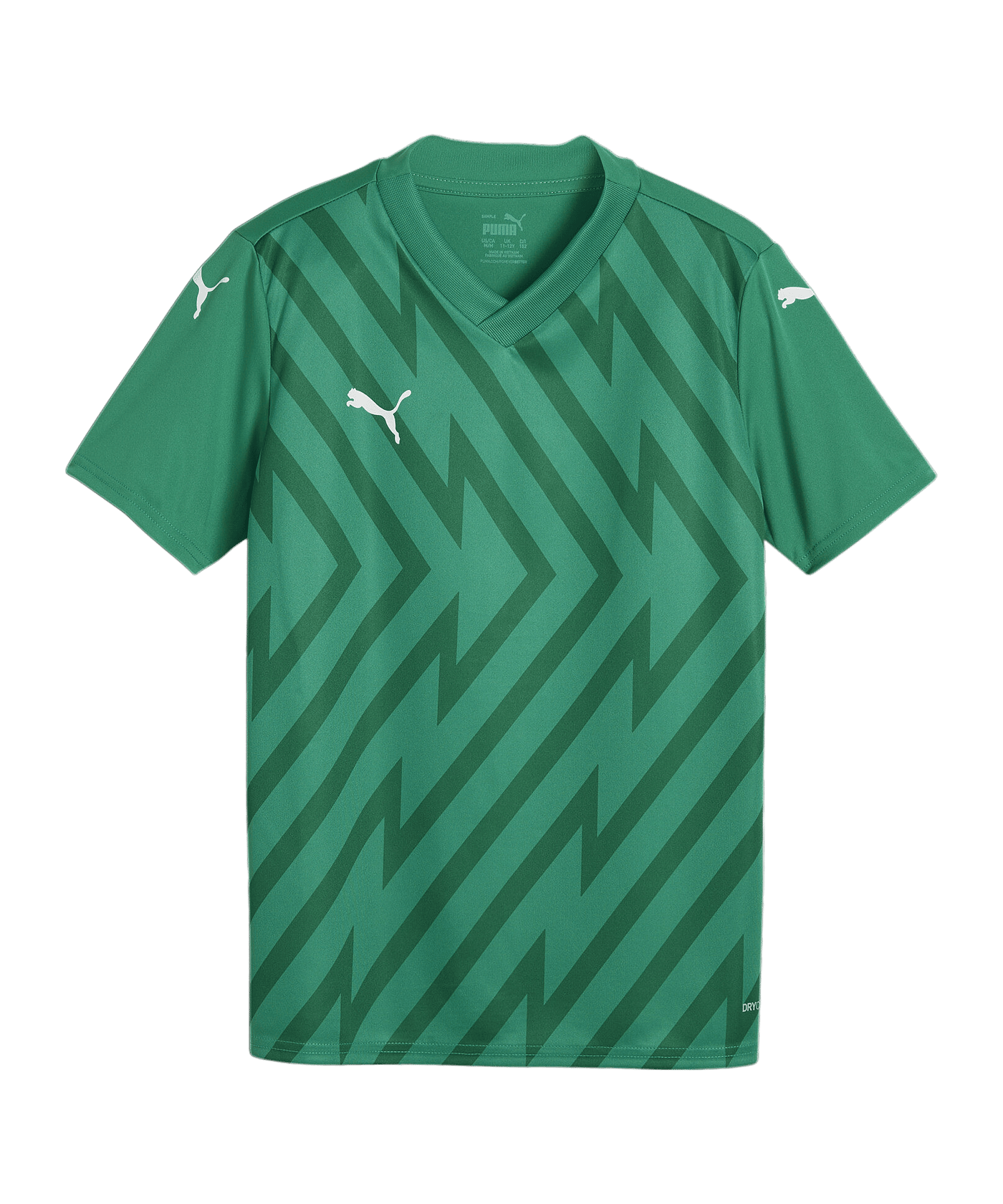 PUMA teamGLORY Trikot Kids Grün Weiss Grün F05 - gruen
