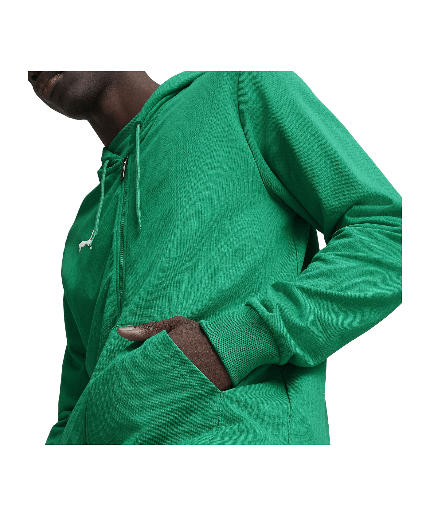 PUMA teamGOAL Casuals Kapuzenjacke Grün F05 - gruen