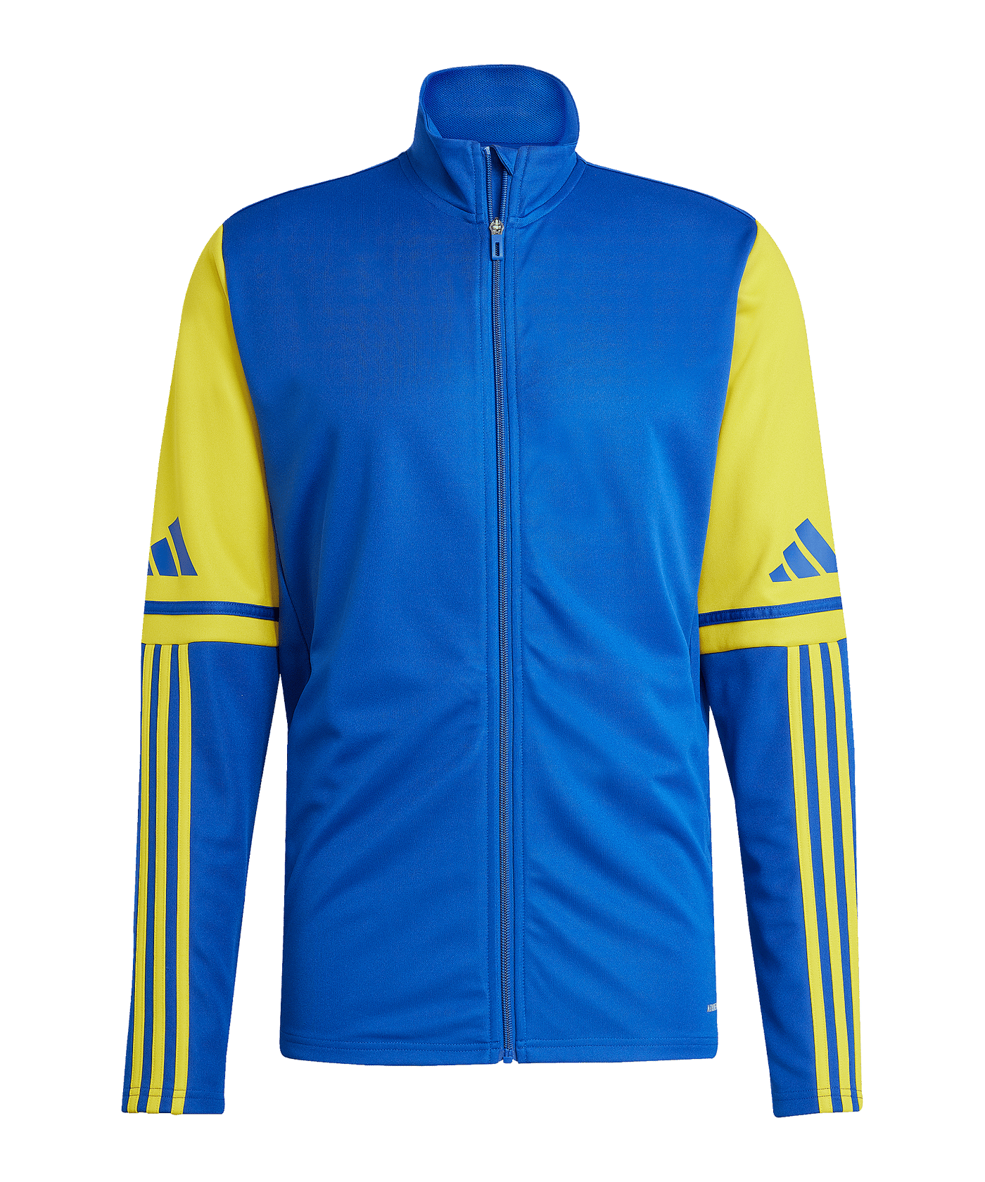 adidas Squadra 25 Trainingsjacke Blau - blau