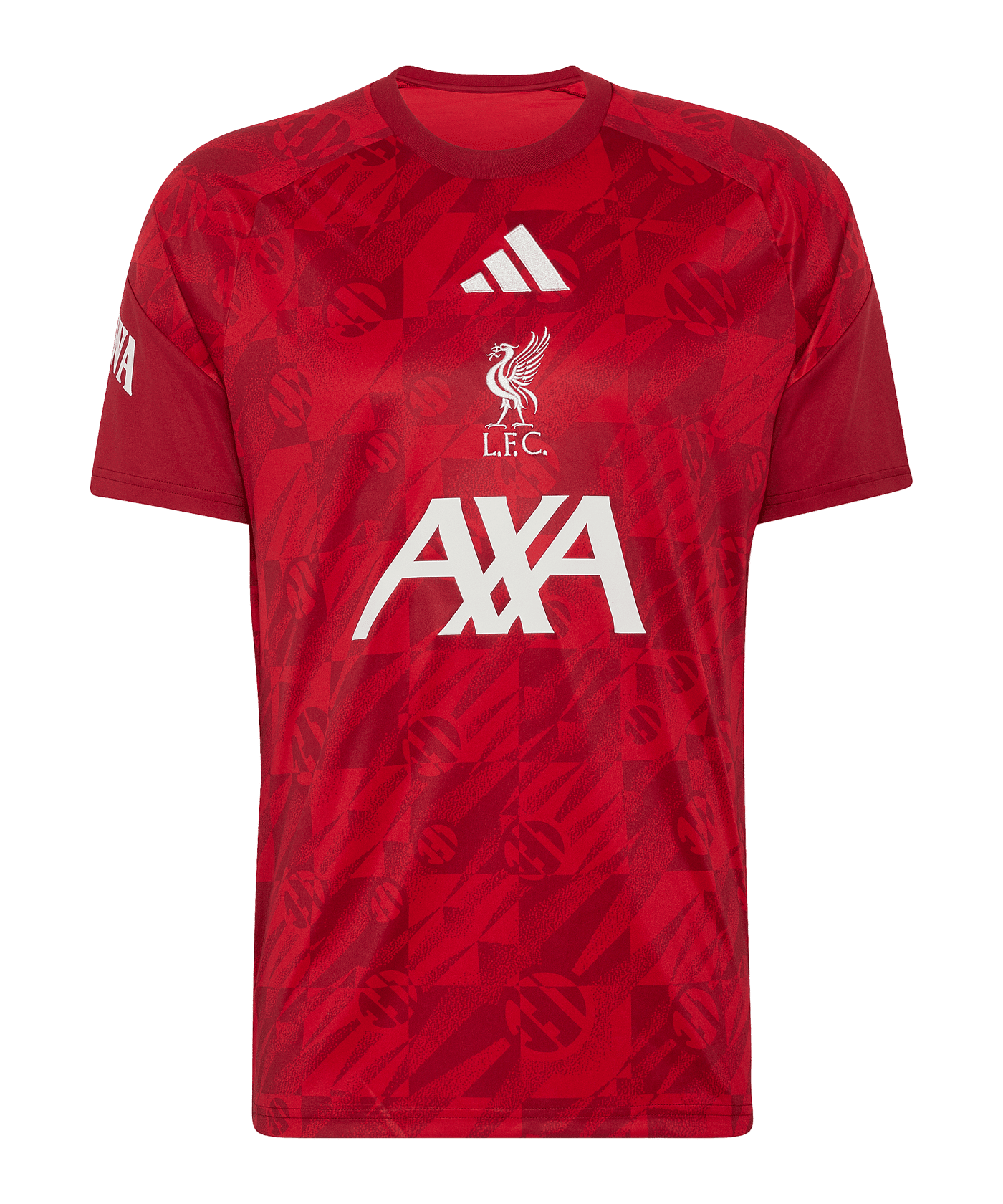 adidas FC Liverpool Pre Match Trikot 2026/2027 Rot - rot