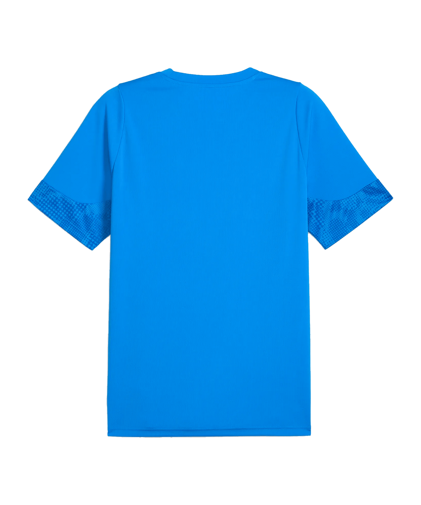 PUMA teamCUP Trikot Blau F002 - blau