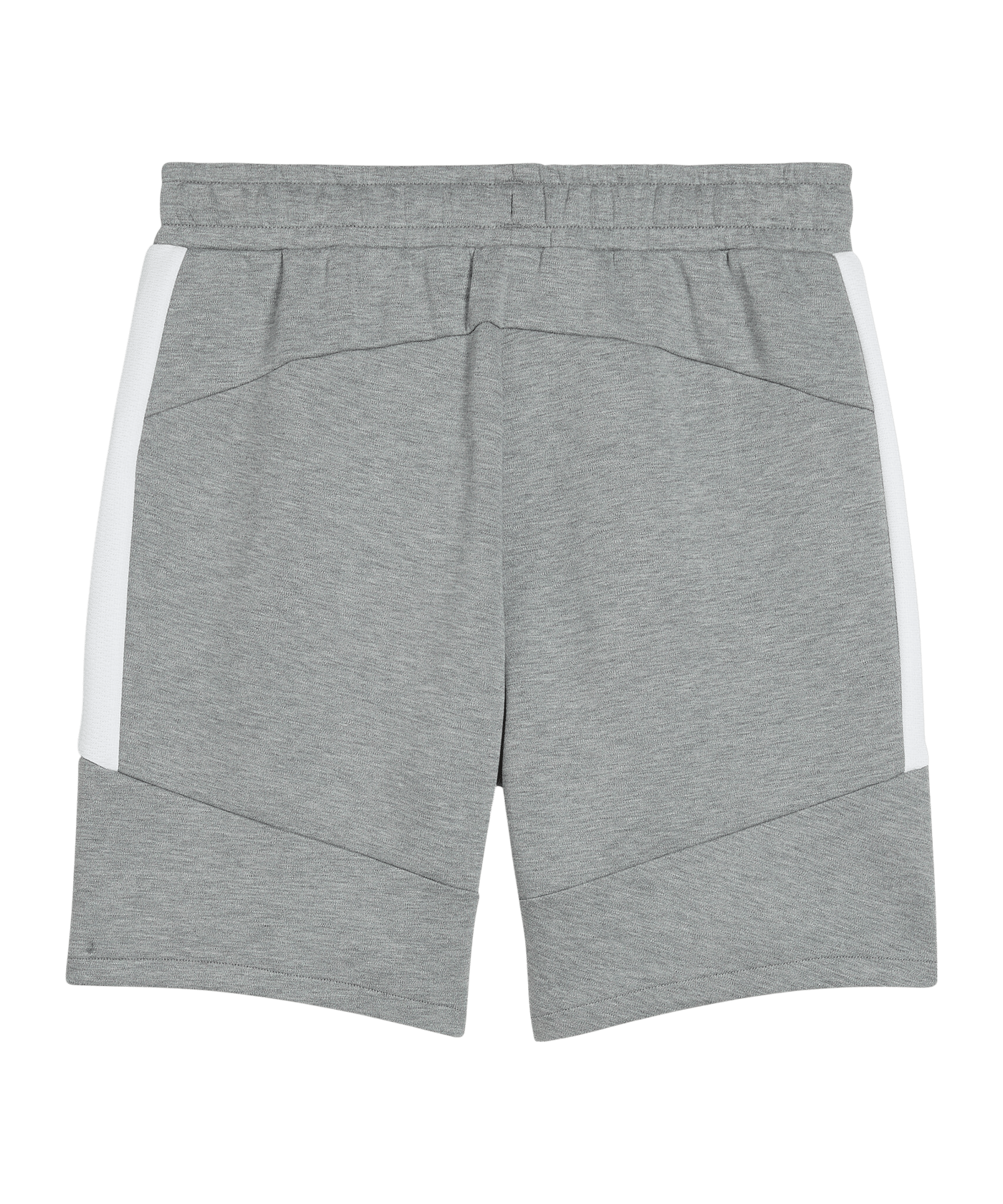 PUMA teamEVOSTRIPE Short Grau F33 - grau