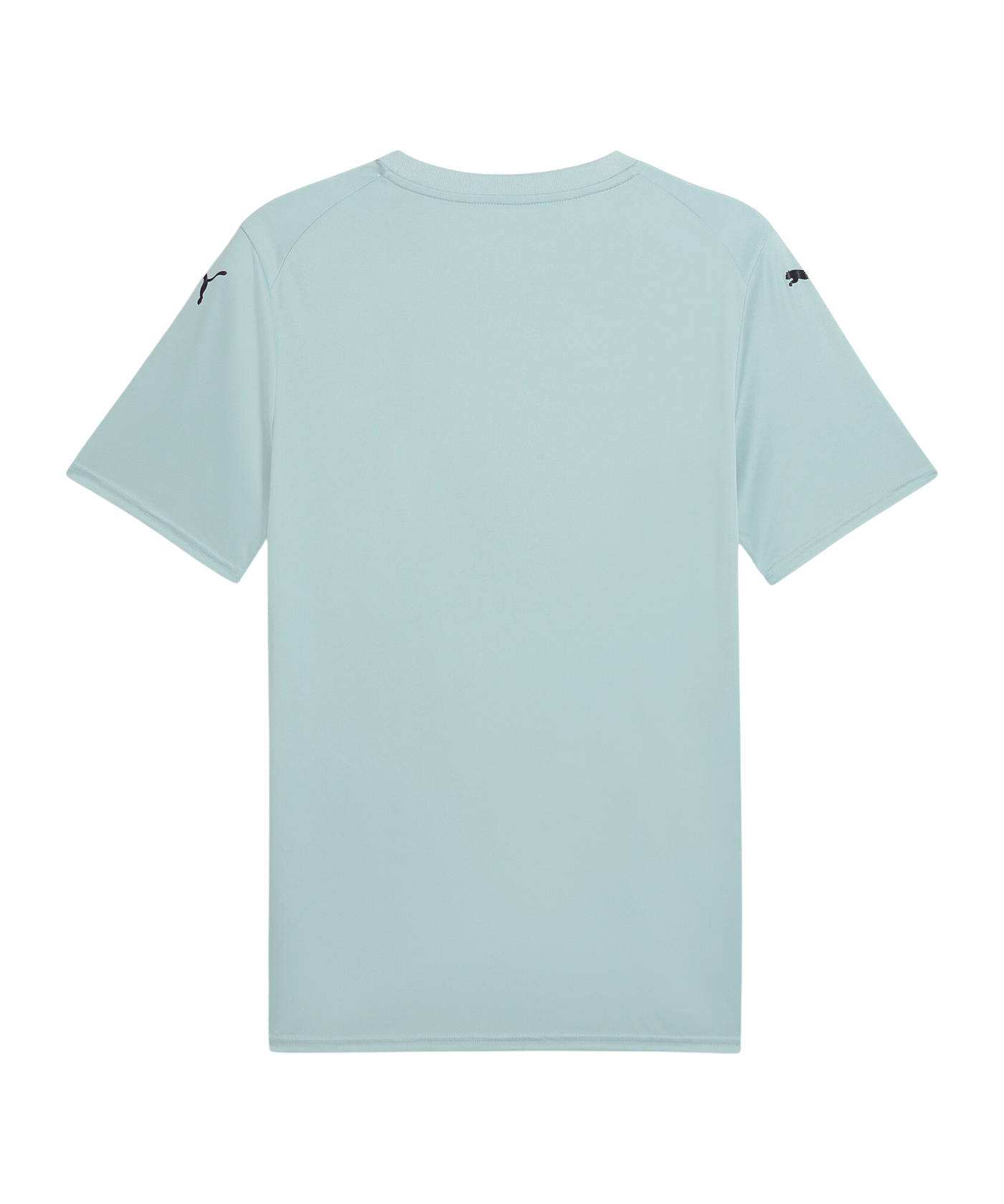 PUMA TeamFINAL Trikot Grün F41 - gruen
