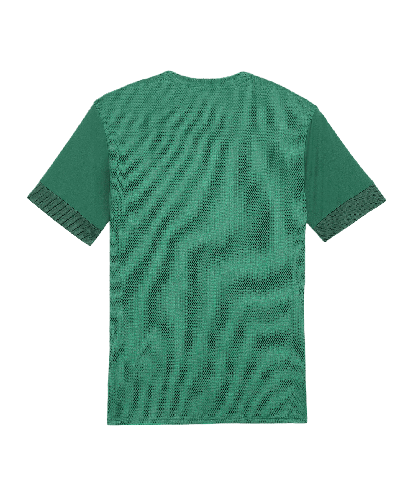PUMA teamGOAL Matchday Trikot Grün Weiss F05 - gruen