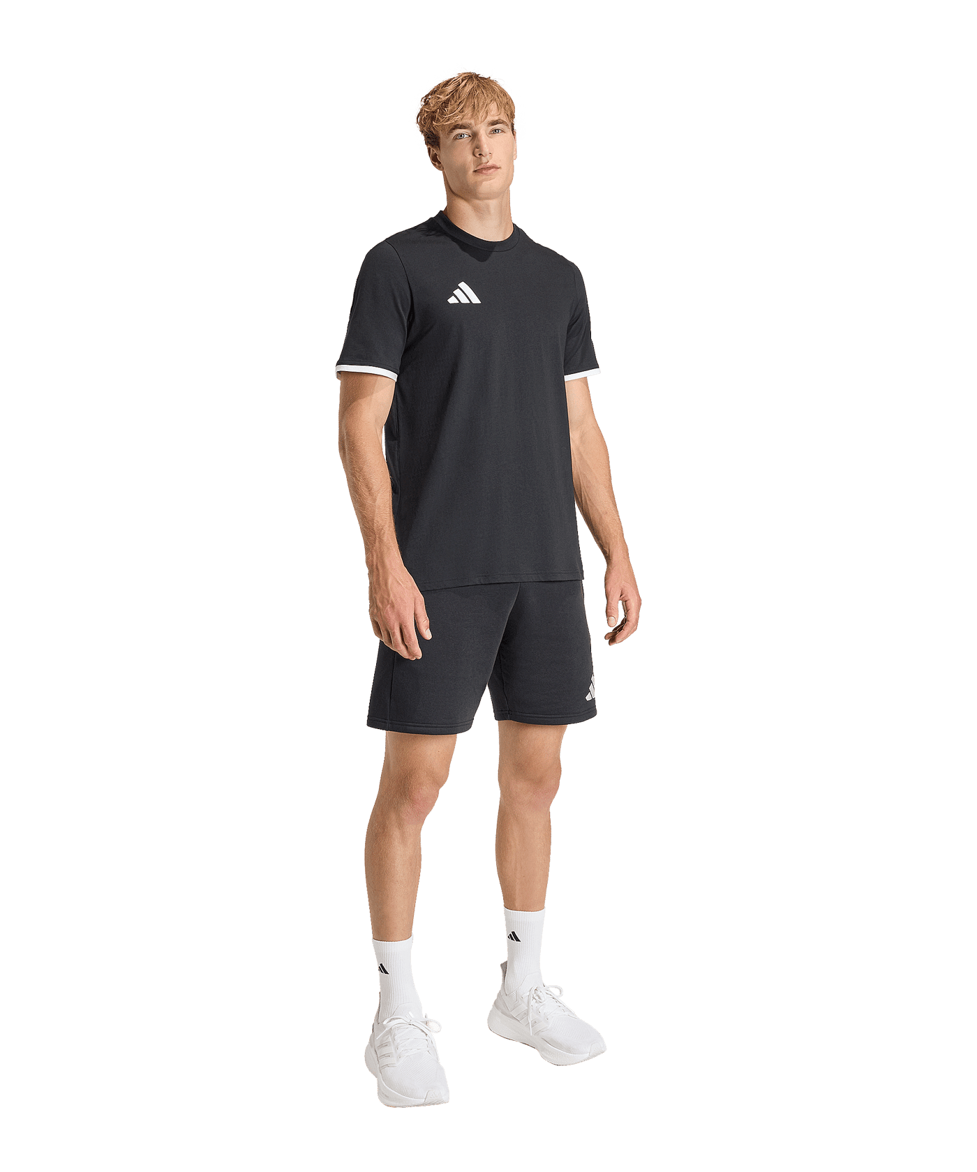 adidas Entrada 26 T-Shirt Schwarz - schwarz