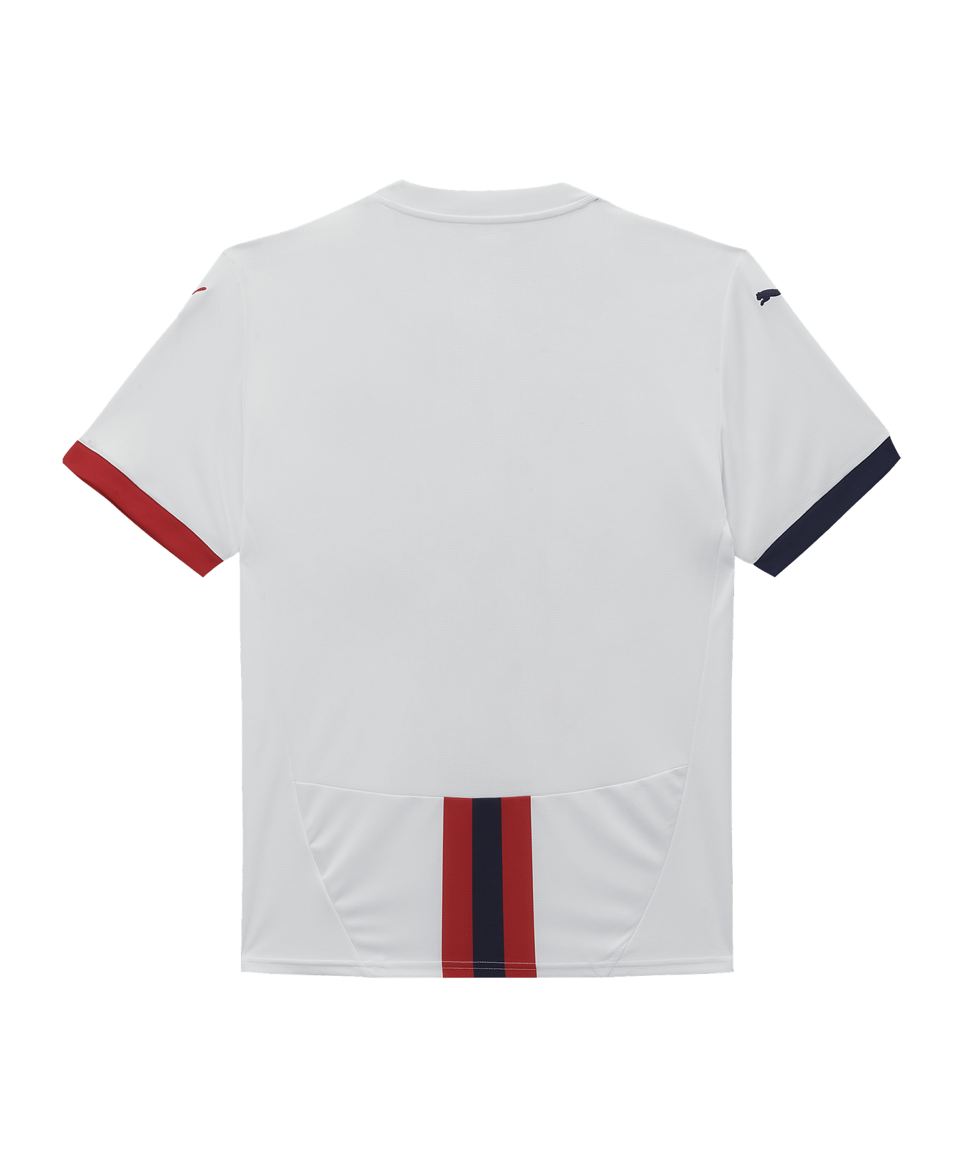 PUMA Rapid Wien Trikot Away 2024/2025 Weiss F02