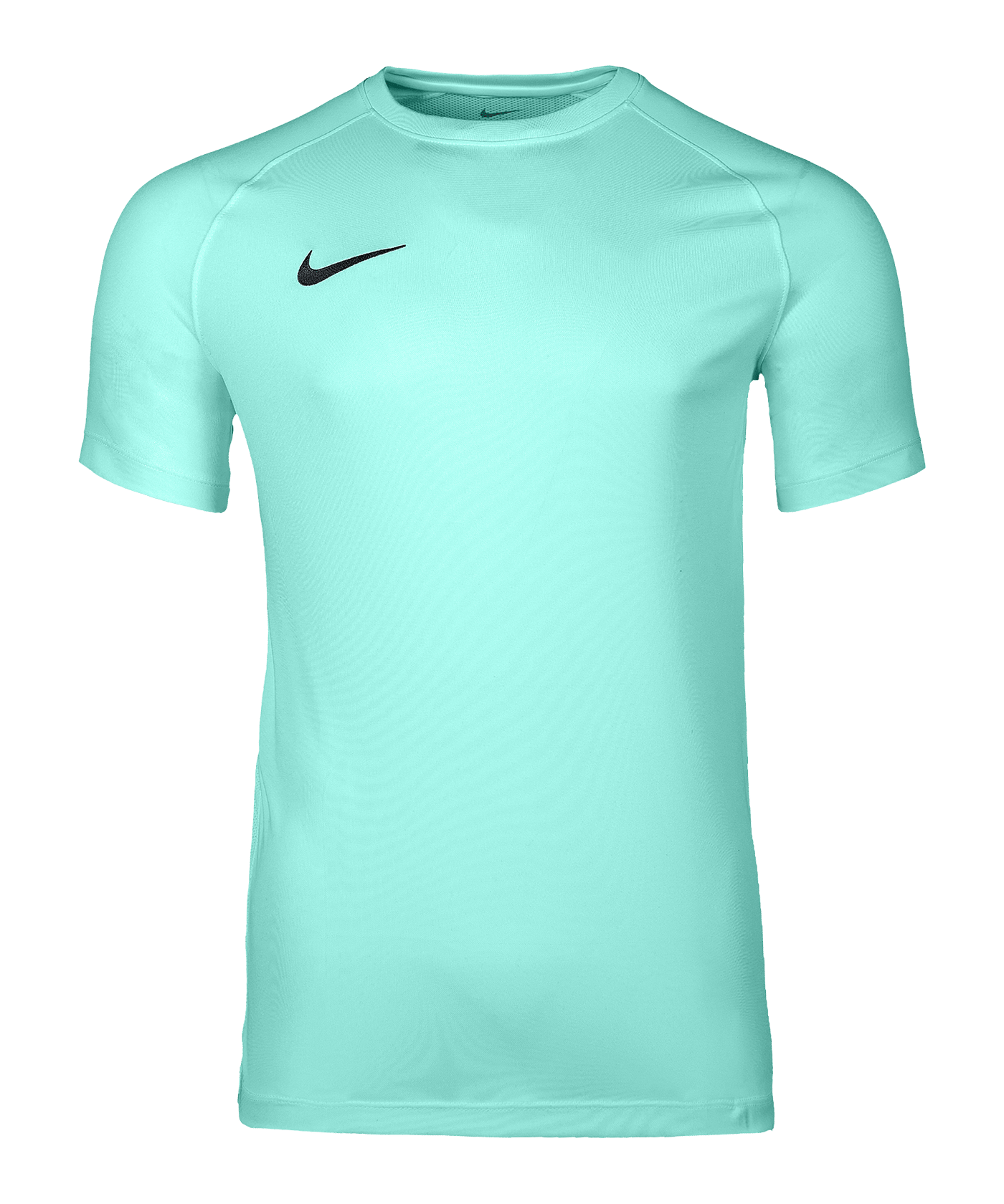 Nike Park VIII Trikot Türkis F354 - tuerkis