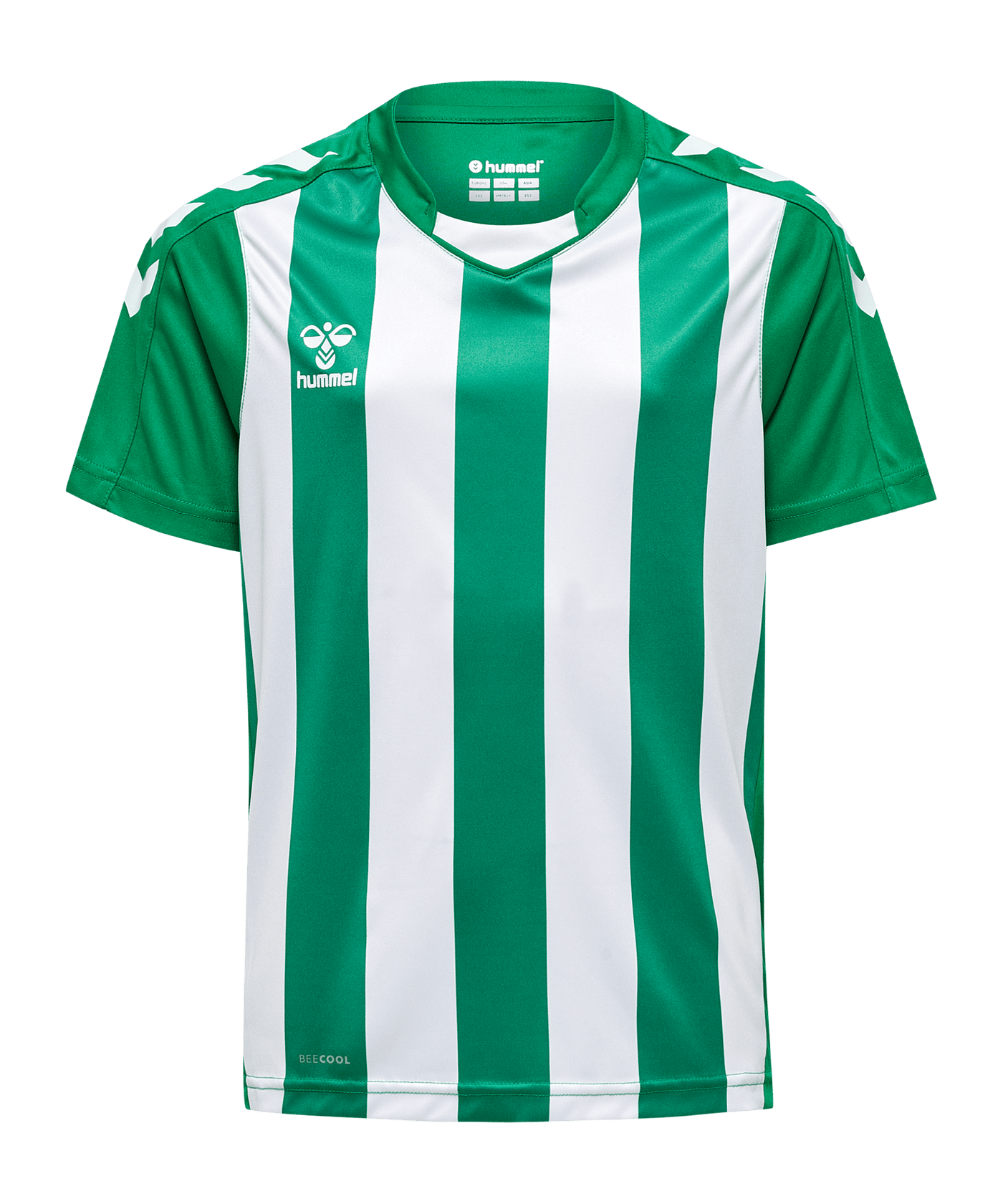 Hummel hmlCore XK Striped Trikot Kids Grün F6129 - gruen