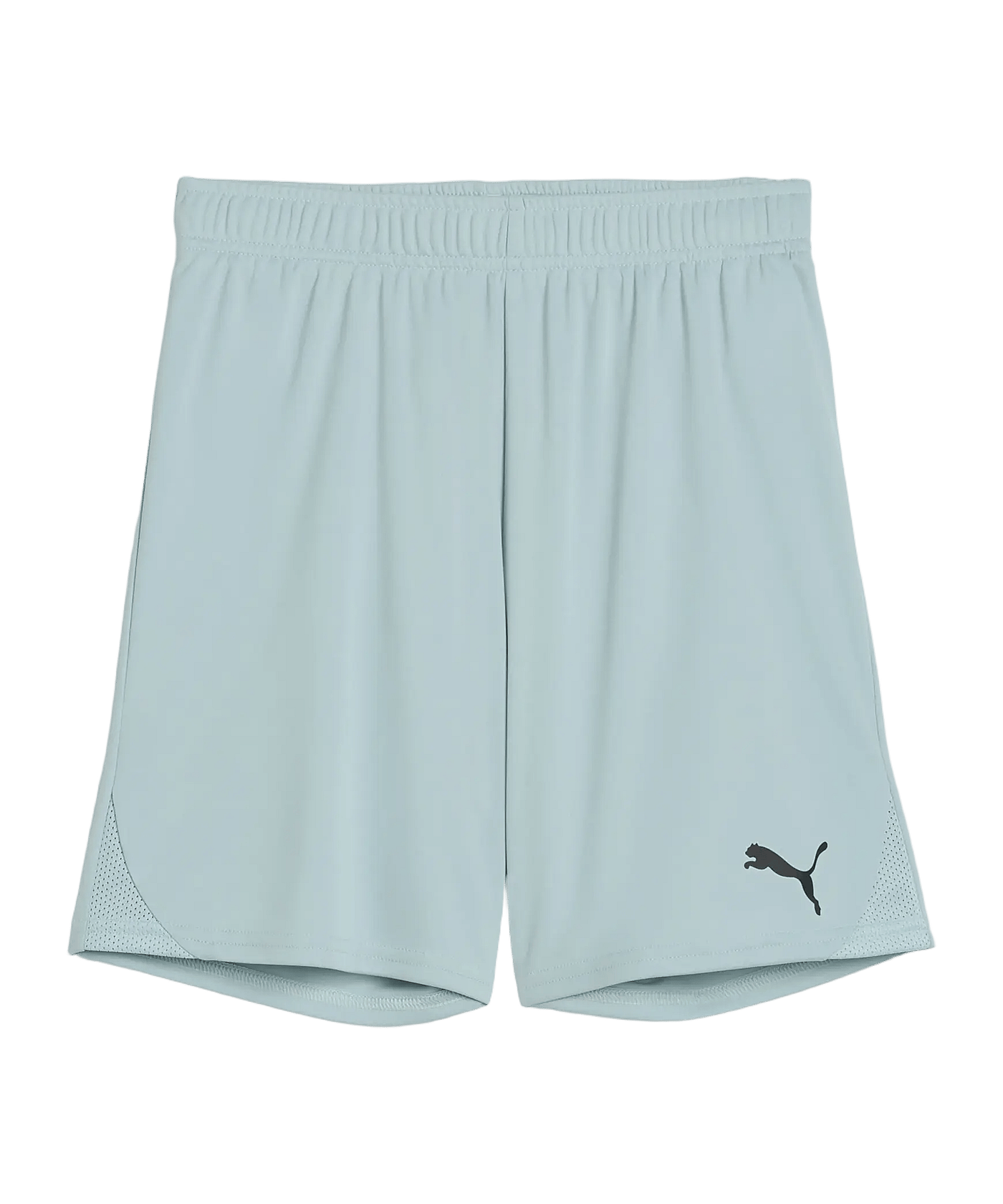 PUMA teamGOAL Short Kids Grün F41 - gruen