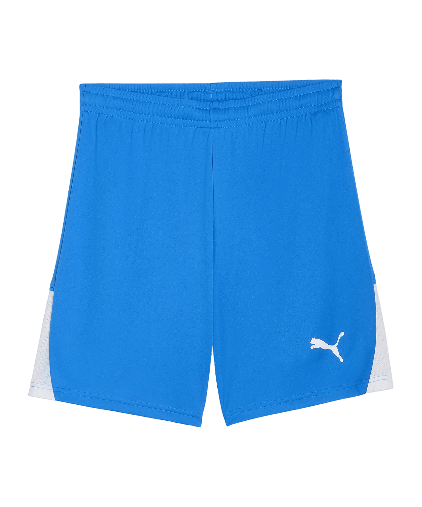 PUMA teamLIGA26 Short Blau F02 - blau
