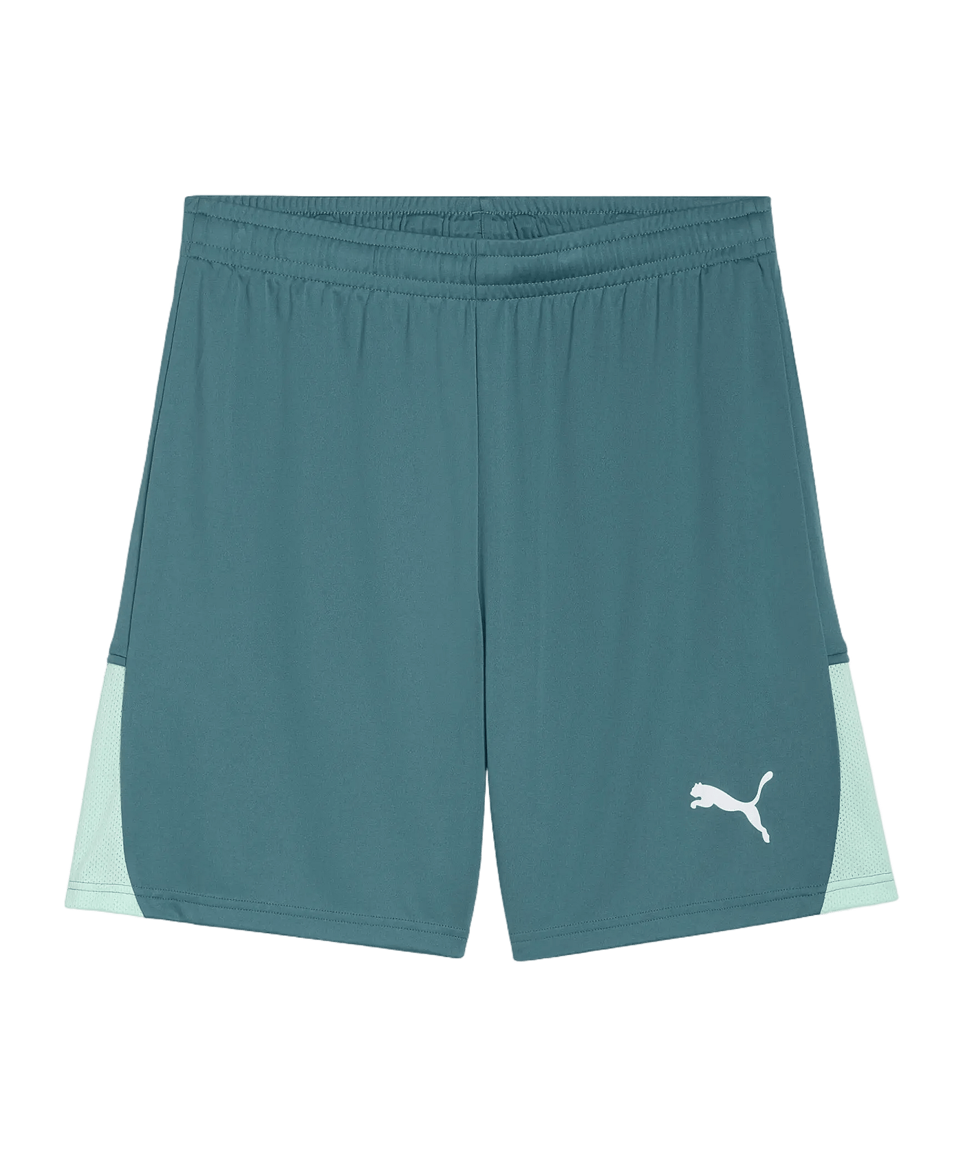 PUMA teamLIGA26 Short Grün F43 - gruen