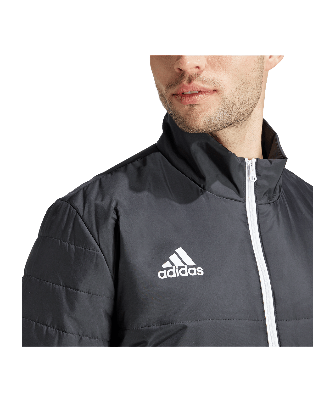 adidas Winterjacke Schwarz - schwarz