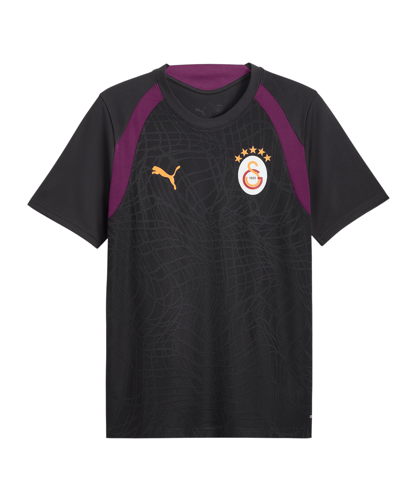 PUMA Galatasaray Istanbul Training Trikot Grau F05 - grau