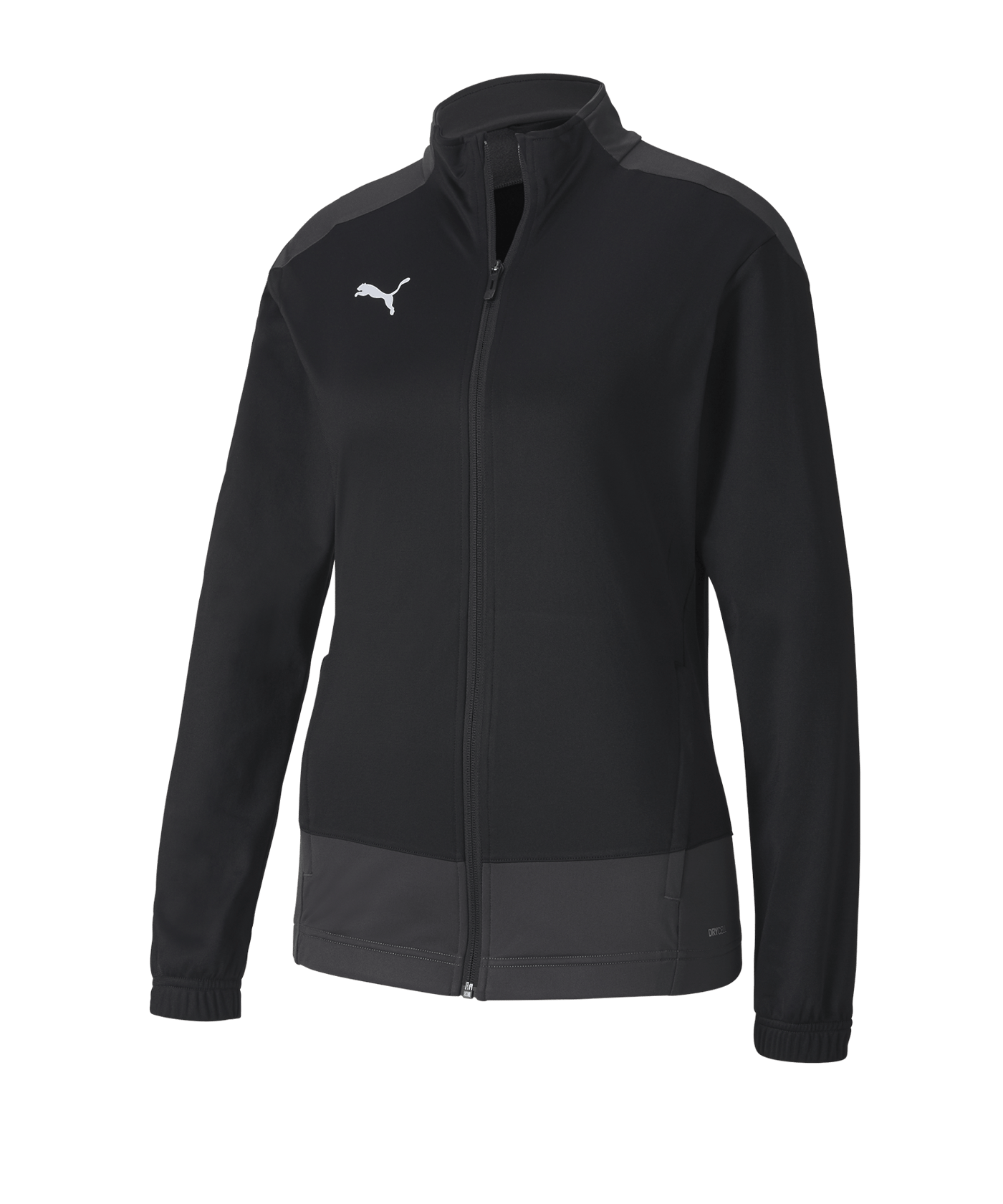 PUMA teamGOAL 23 Training Polyesterjacke Damen F03 - schwarz