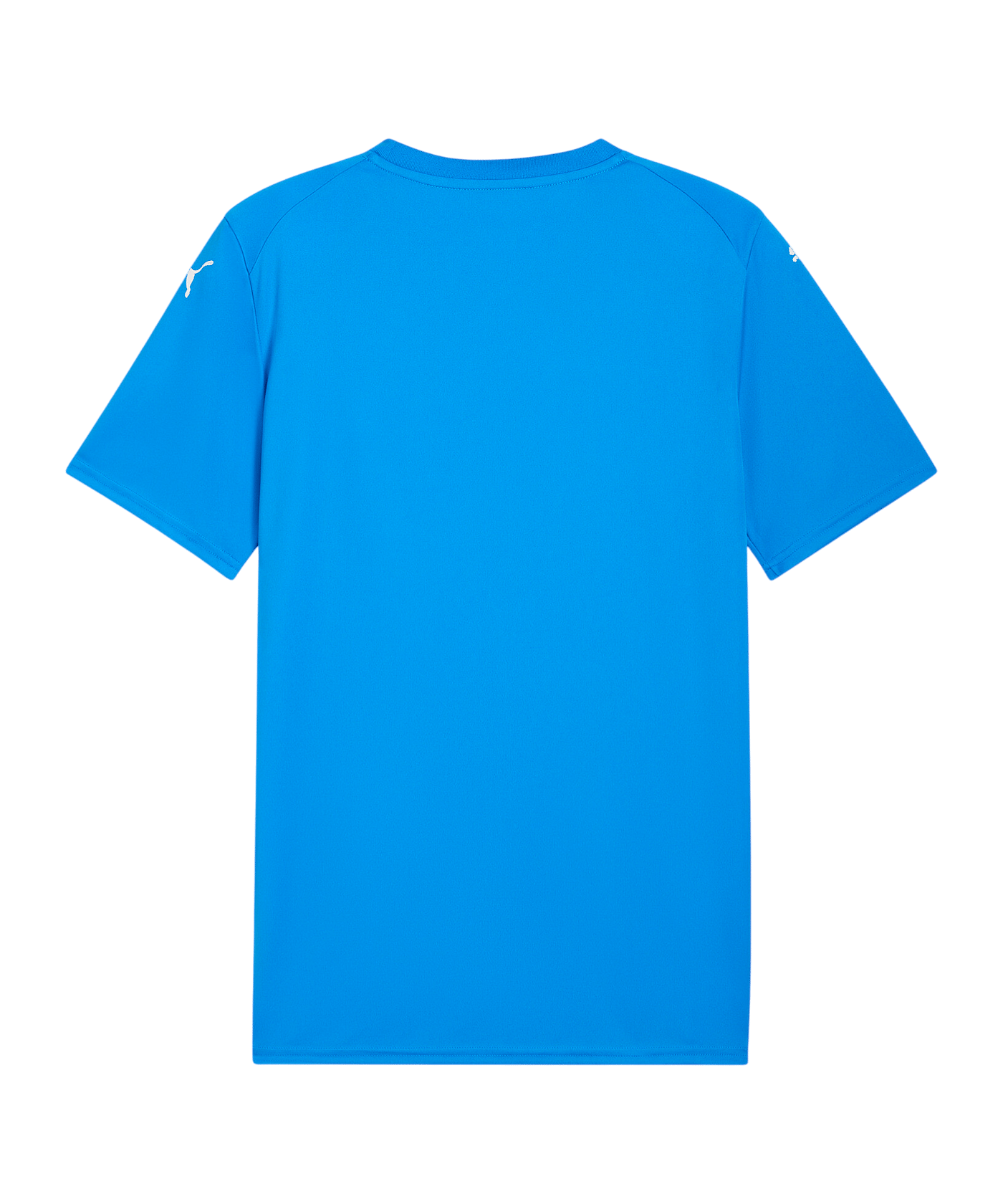PUMA teamFINAL Graphic Trikot Blau F02 - blau