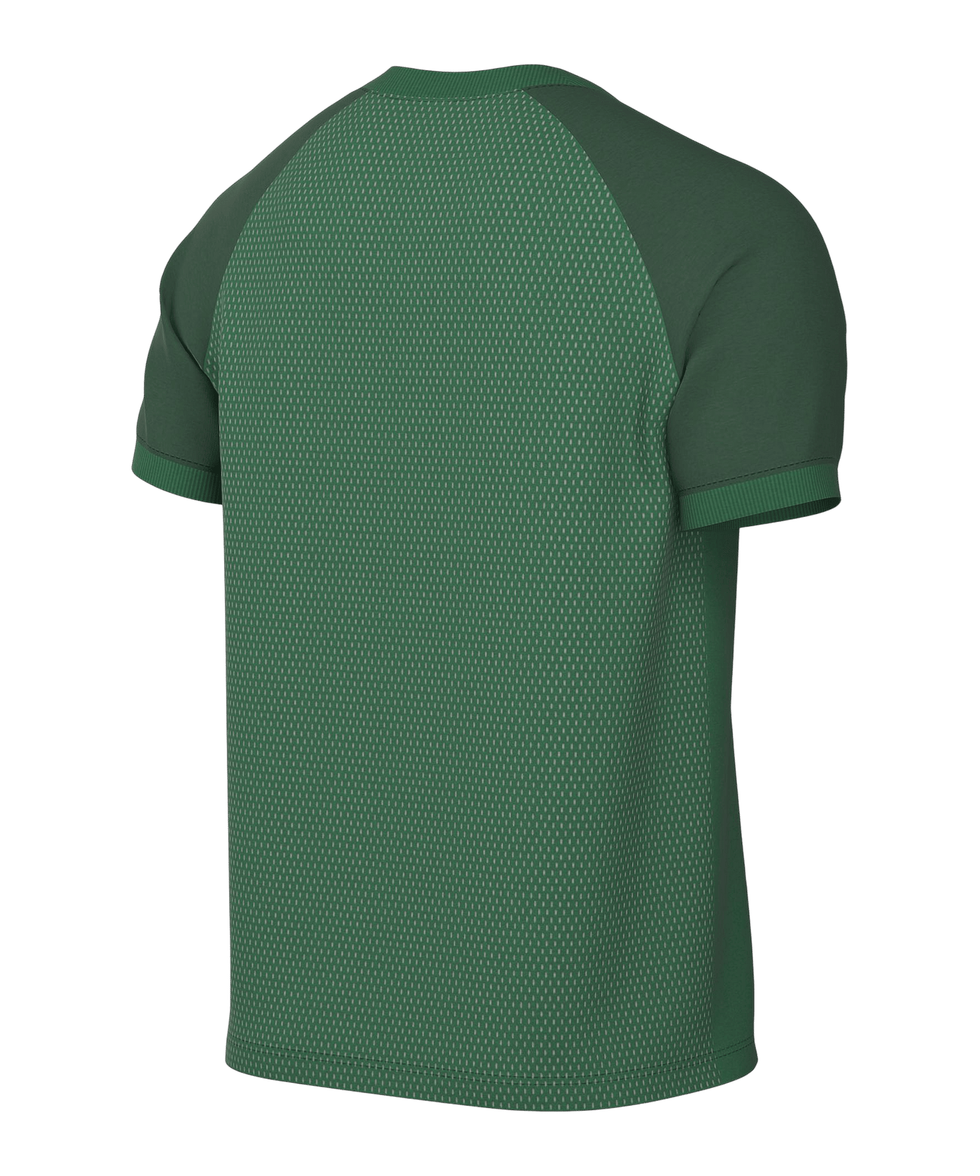 Nike Trophy VI Trikot Grün F302
