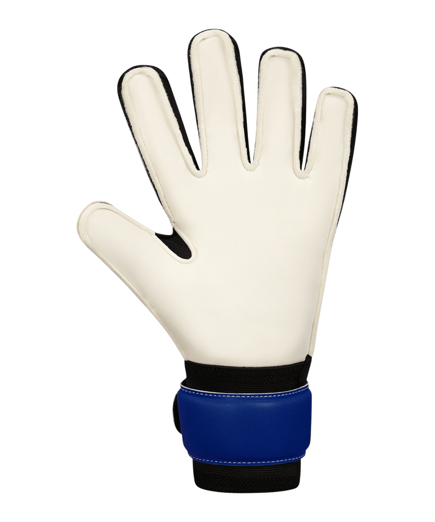 JAKO River Basic RC Torwarthandschuhe Blau F933 - blau