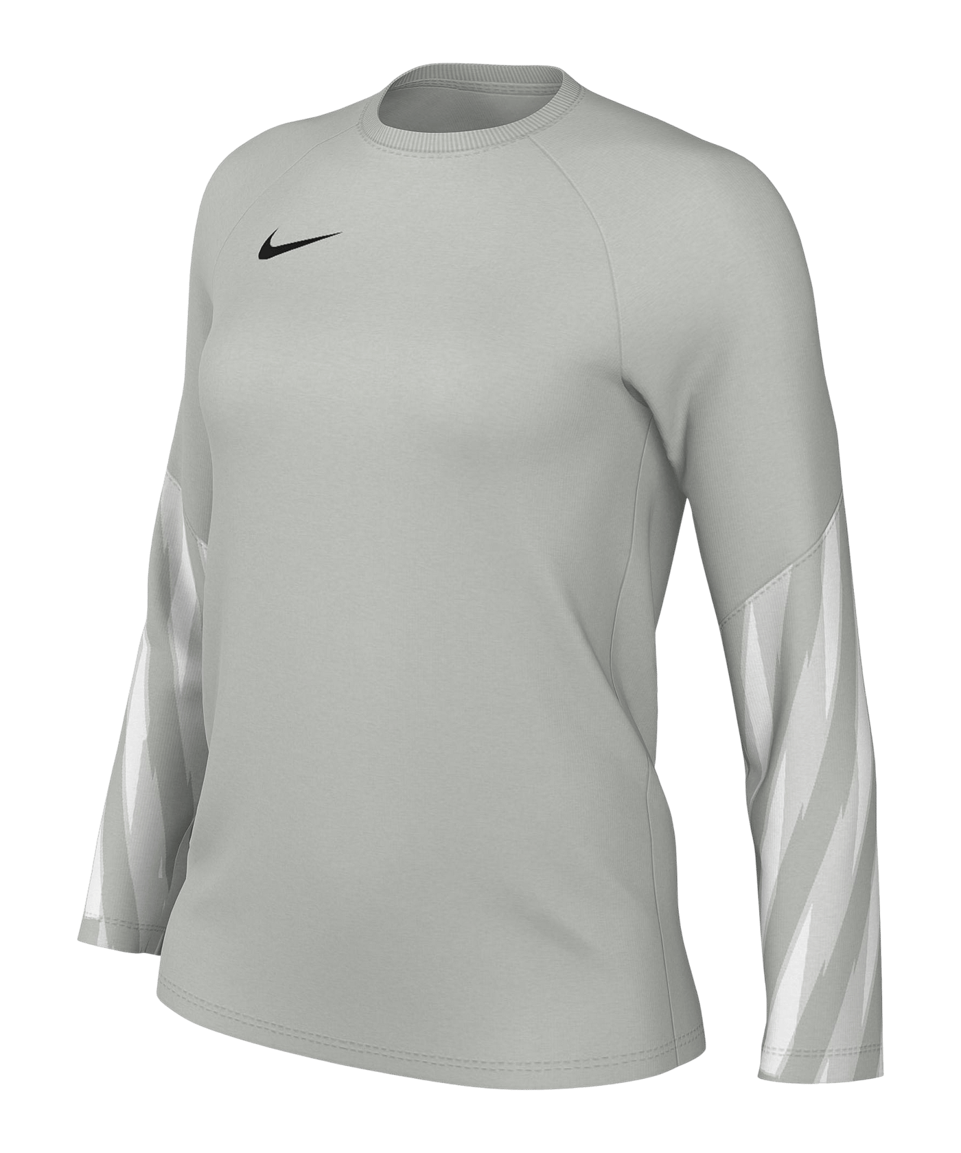 Nike Park V Torwarttrikot Langarm Damen Schwarz F097 - schwarz