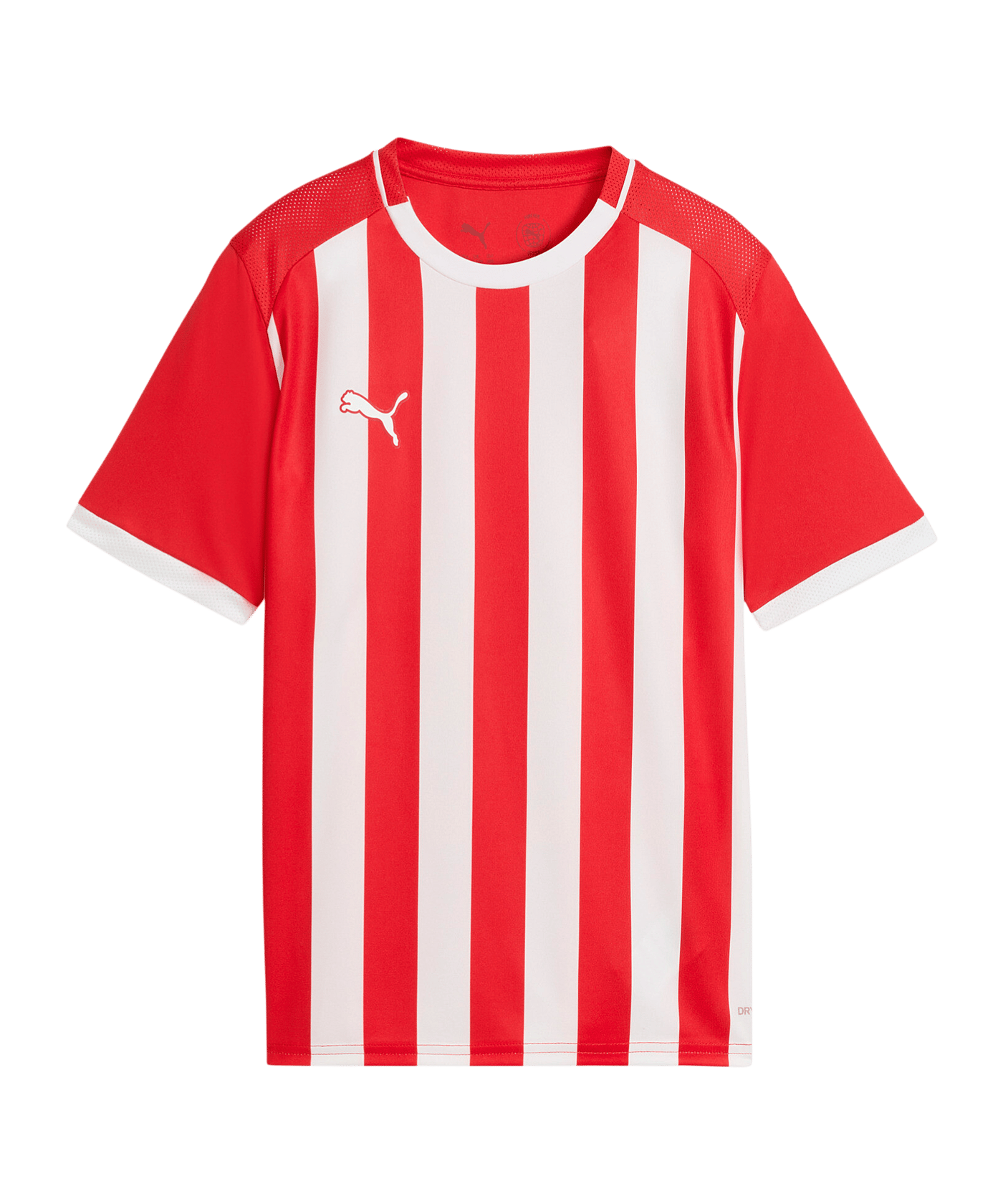 PUMA teamLIGA26 Striped Trikot Kids Rot F01 - rot