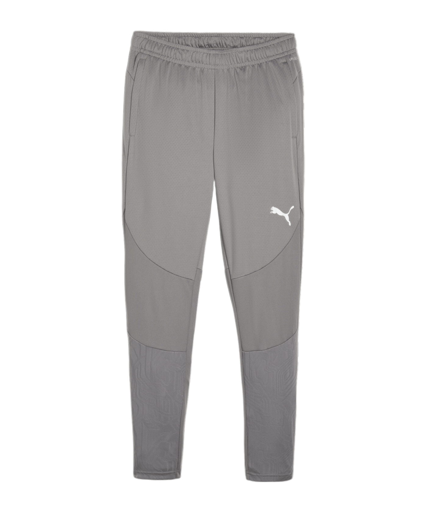 PUMA teamFINAL Trainingshose Grau F13 - grau