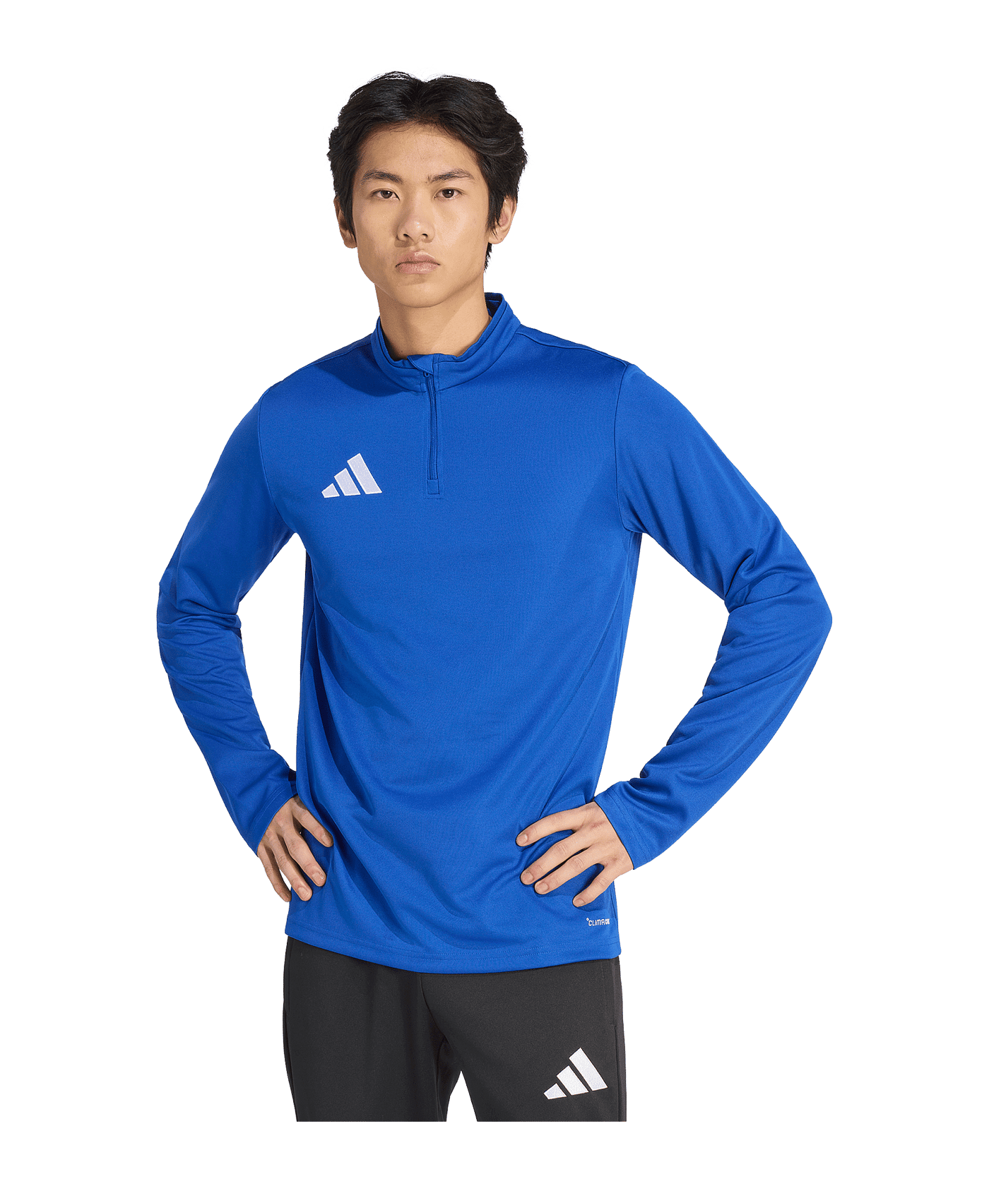 adidas Entrada 26 Training Sweatshirt Blau - blau