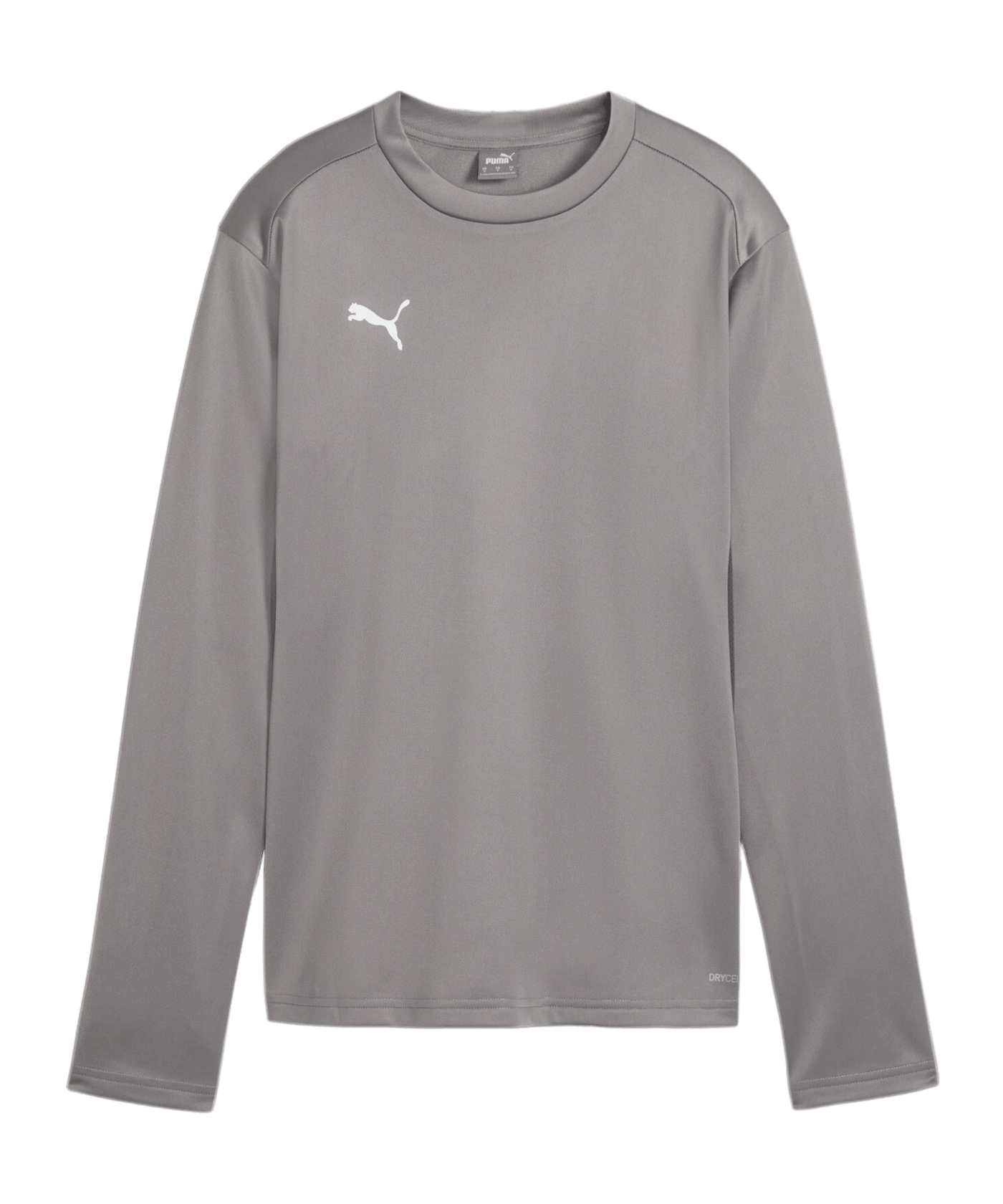 PUMA teamGOAL Training Sweatshirt Damen Grau F13 - grau