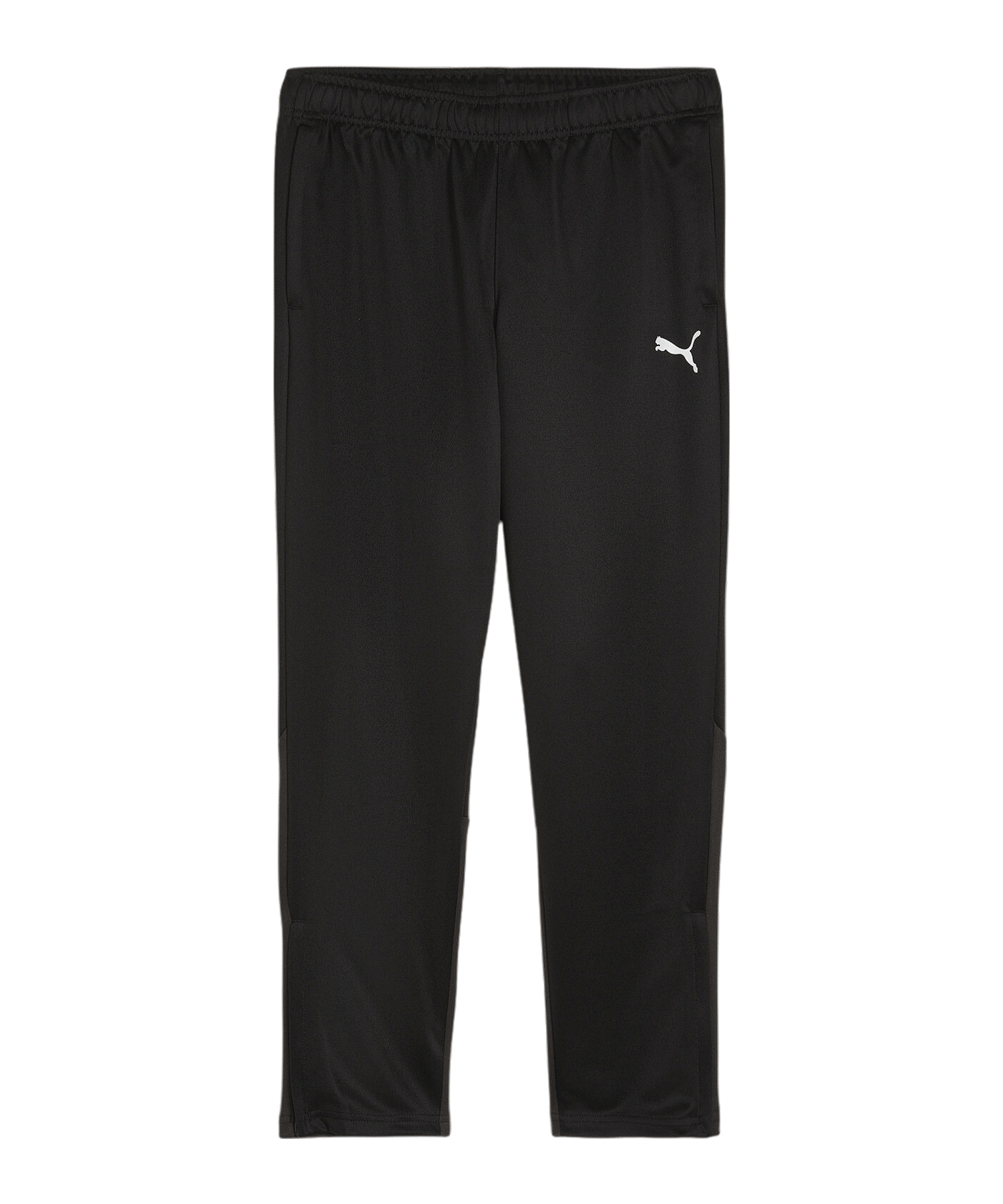 PUMA teamGOAL Training Jogginghose Damen F03 - schwarz
