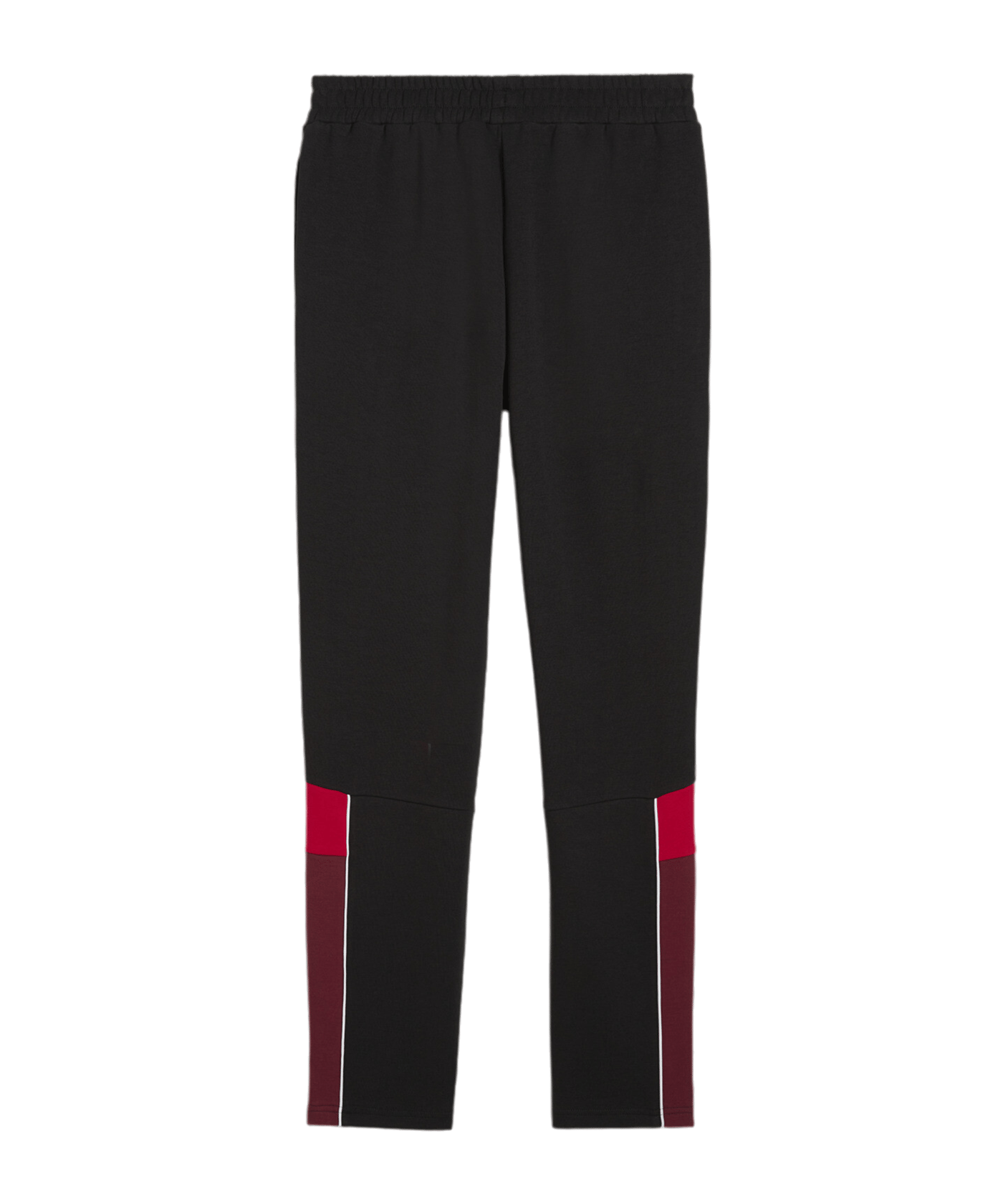 PUMA Schweiz Ftbl Archive Trainingshose EM 2024 Schwarz F14 - schwarz
