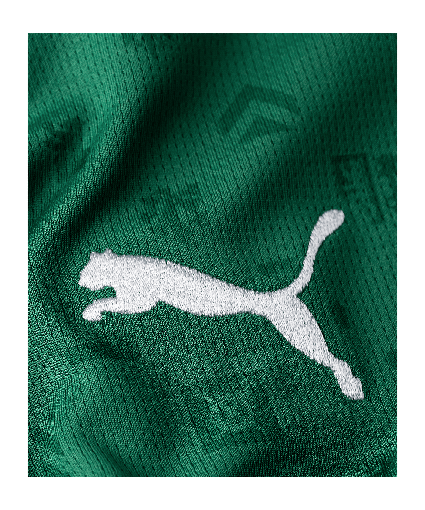 PUMA FC St. Gallen 1879 Trikot Home 2026/2027 Grün F01 - gruen