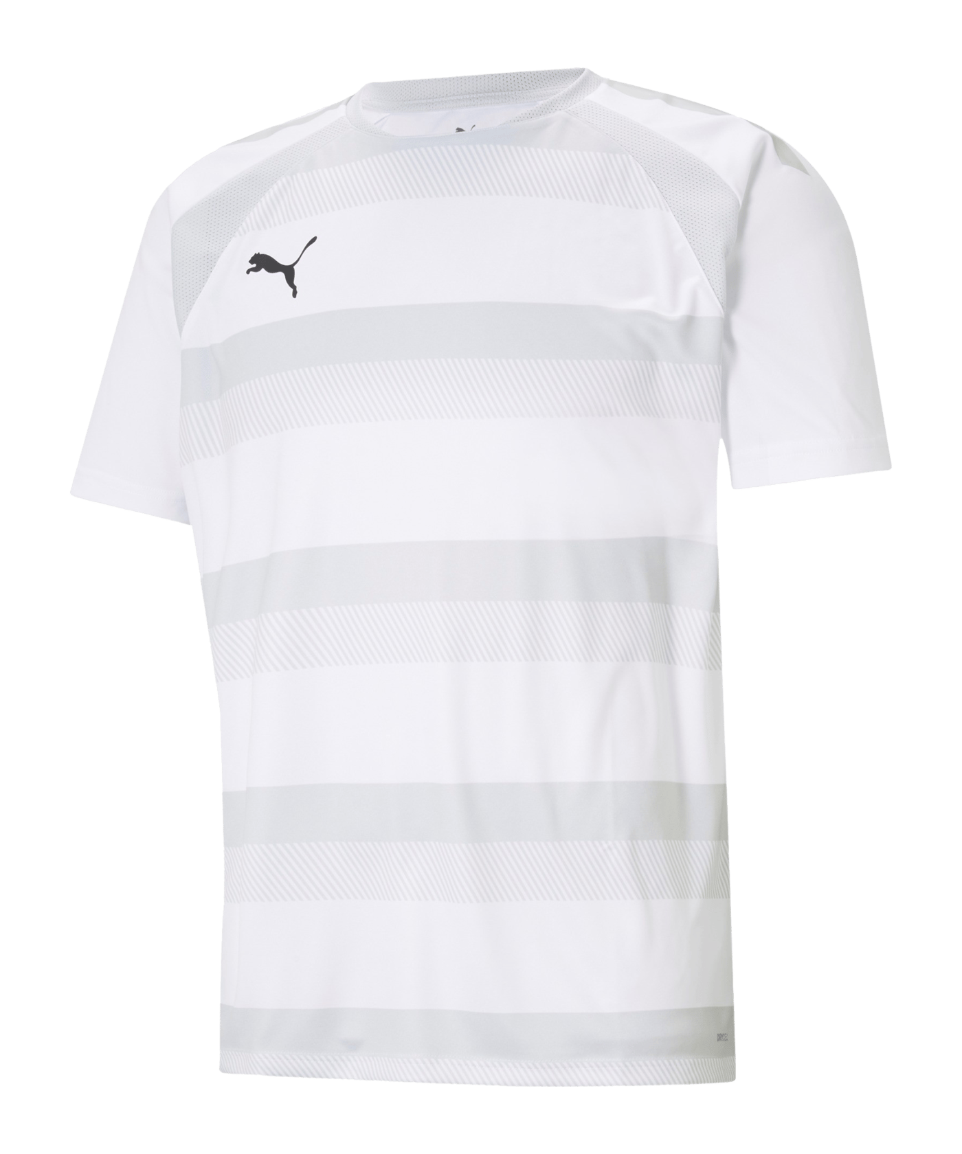 PUMA teamVISION Trikot Weiss Grau F04 - weiss
