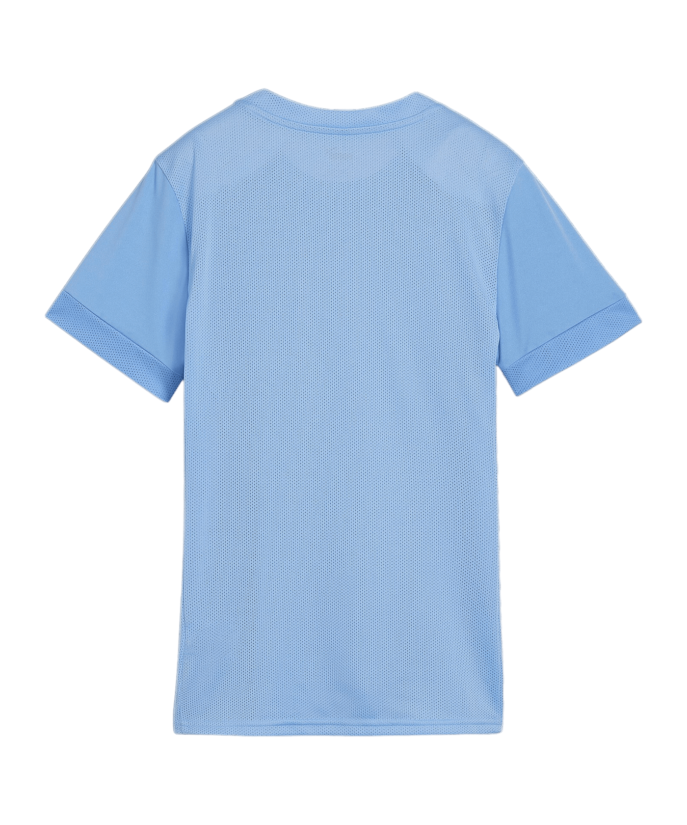 PUMA teamGOAL Matchday Trikot Damen Blau Weiss F18 - blau