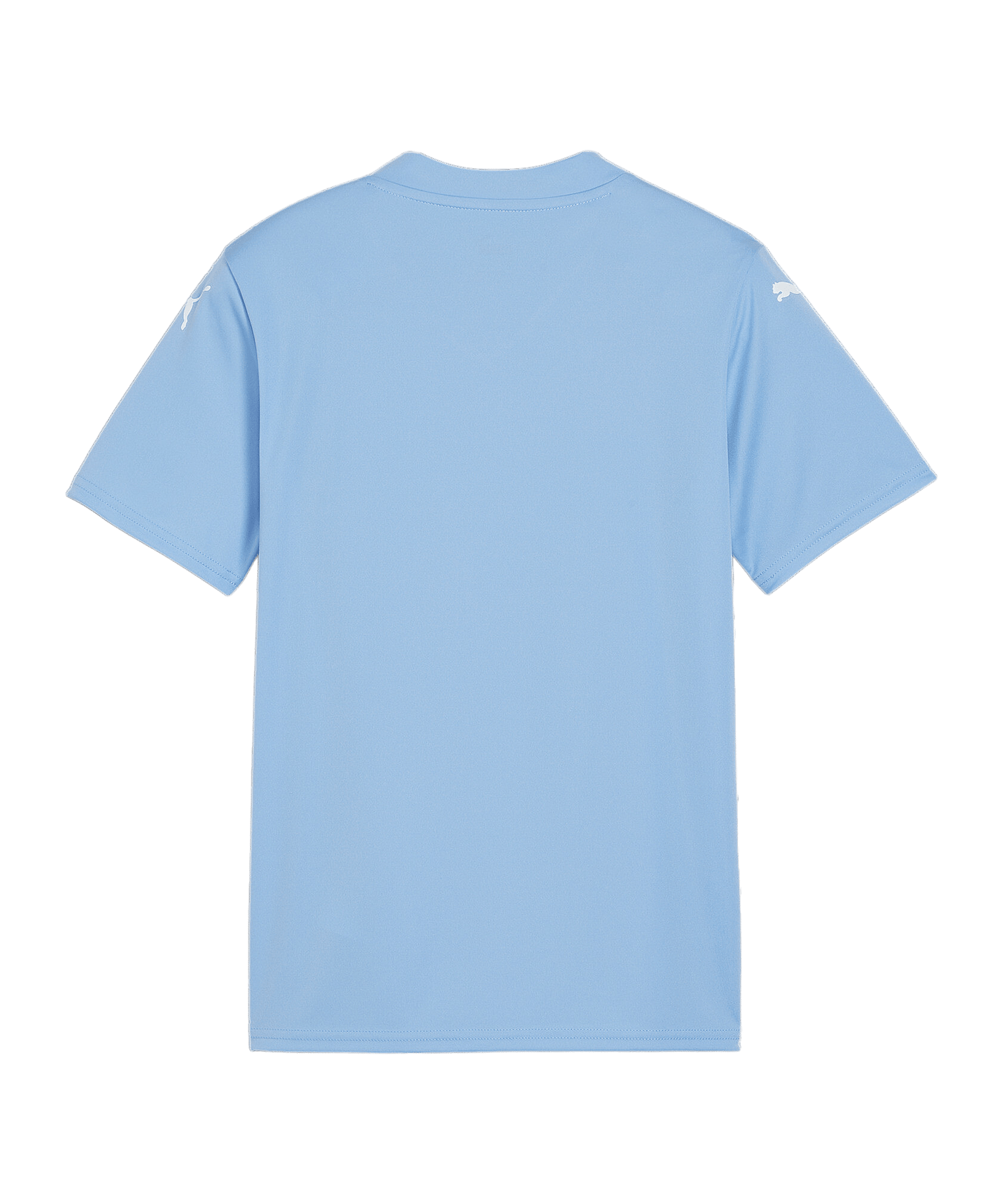 PUMA teamGLORY Trikot Kids Blau Weiss Blau F18 - blau