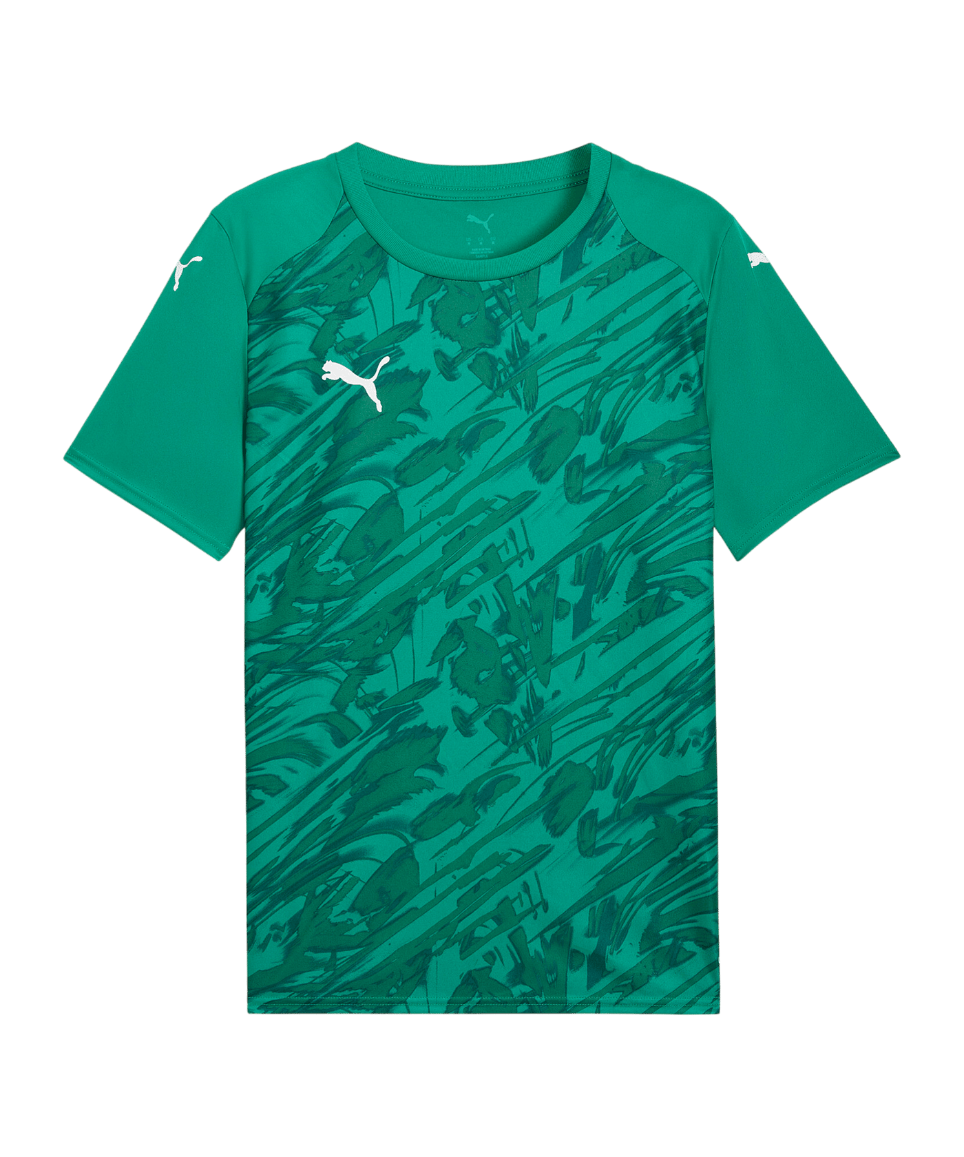 PUMA teamFINAL Graphic Trikot Grün F05 - gruen