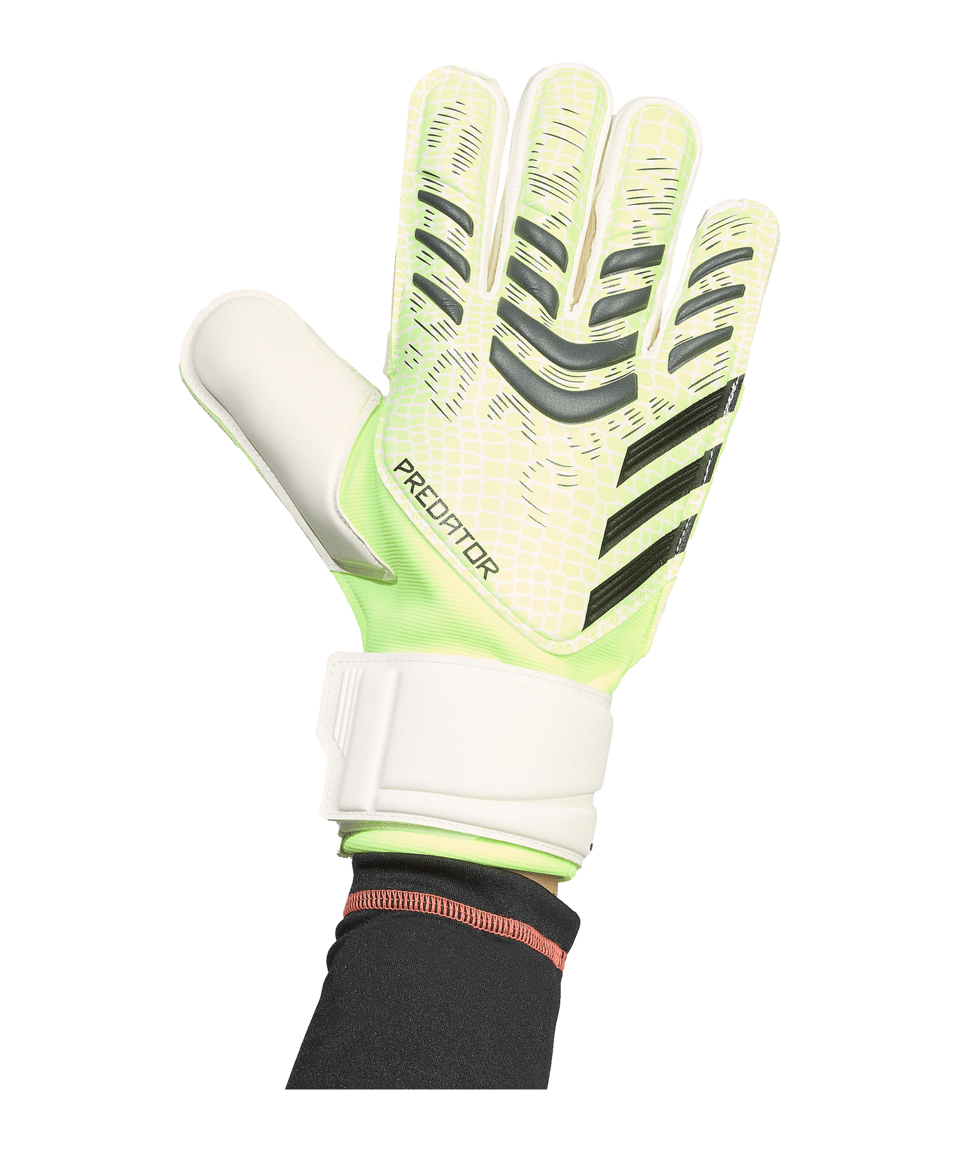 adidas Predator Match Torwarthandschuhe Grün - gruen