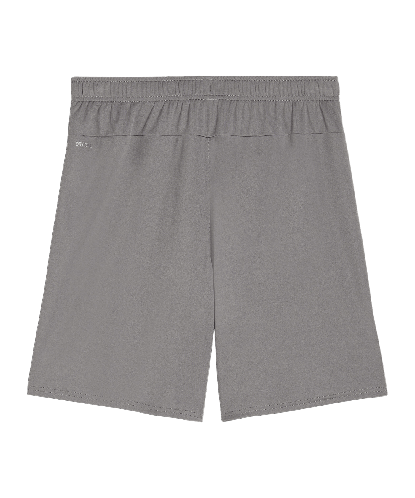 PUMA teamGOAL Short Grau Weiss F13 - grau